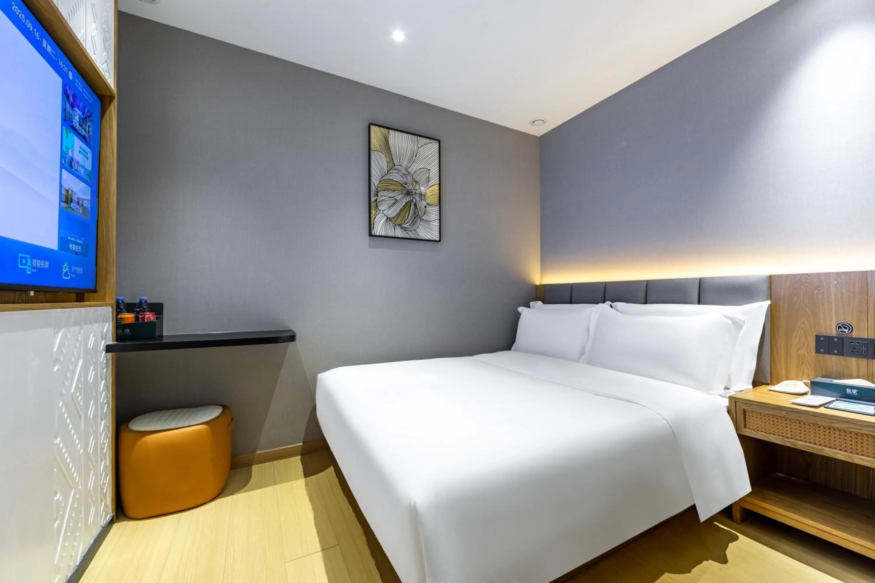 Classic Double Room - single occupancy in True Go Hotel - Shanghai Jing'an Temple Nanjing West Road