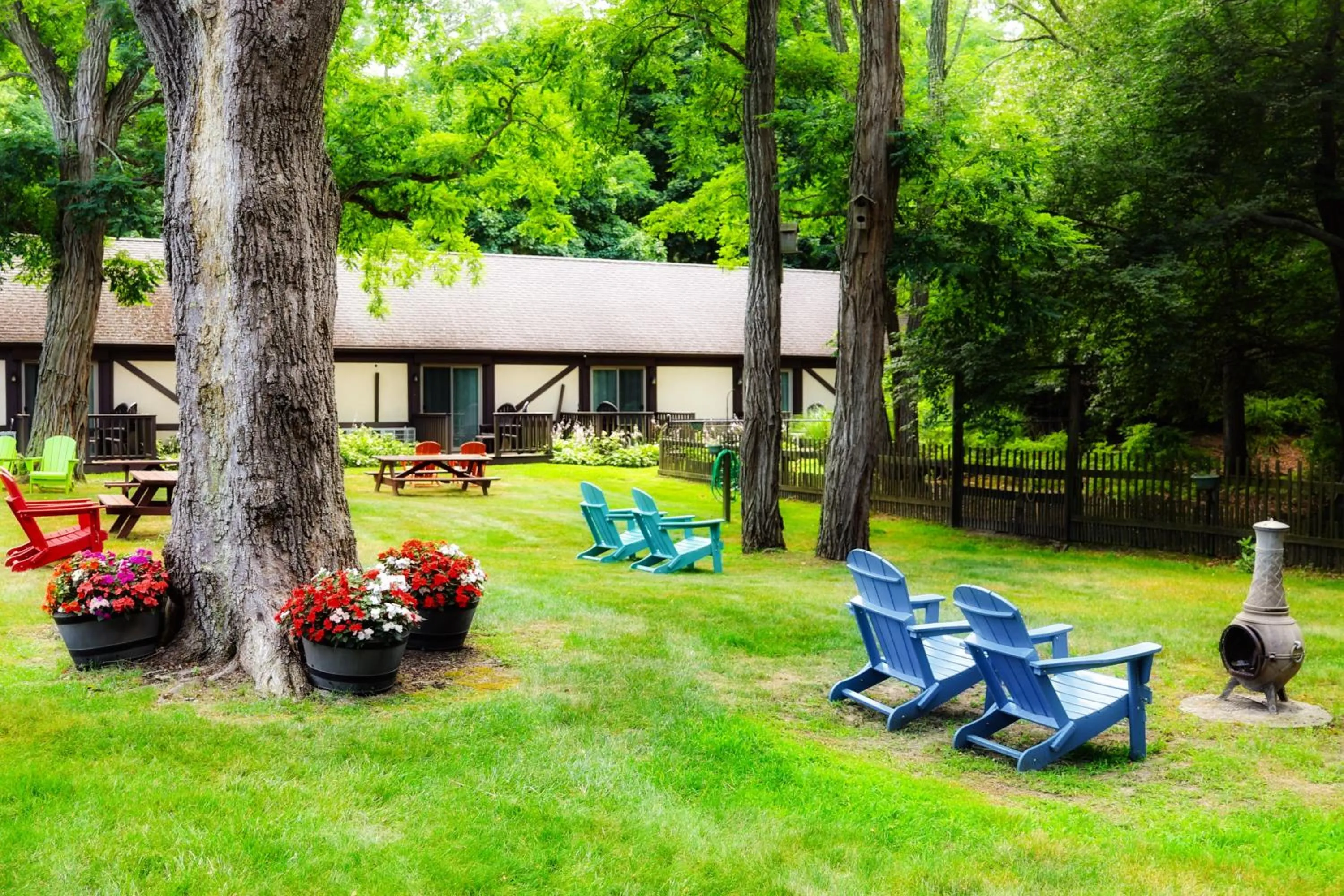 Garden in The Earl of Sandwich Motel