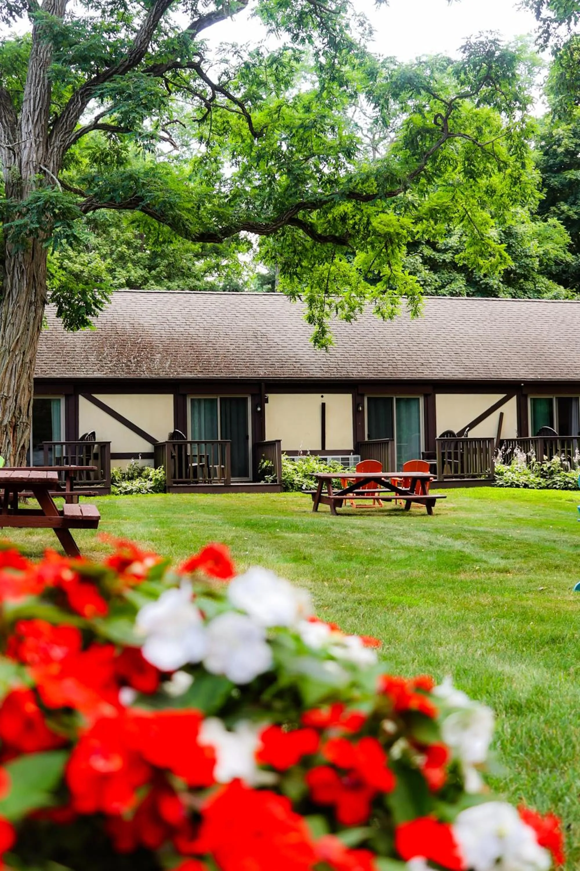 Garden in The Earl of Sandwich Motel