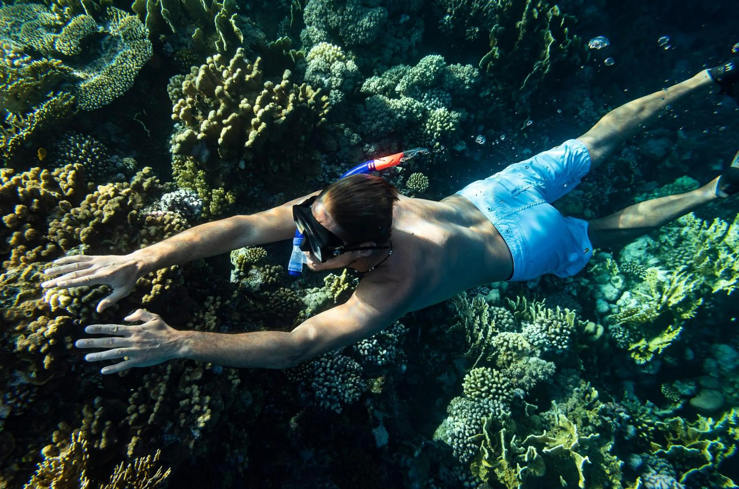 Snorkeling in Three Corners Equinox Beach Resort