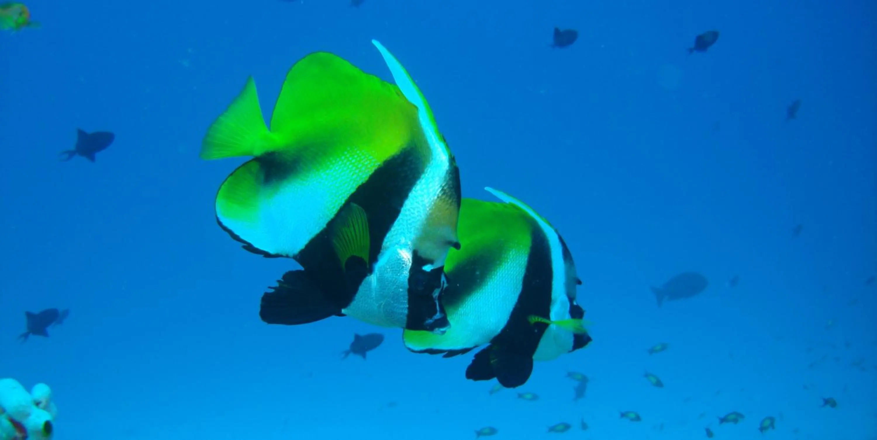 Off site in Hotel Ocean Grand at Hulhumale