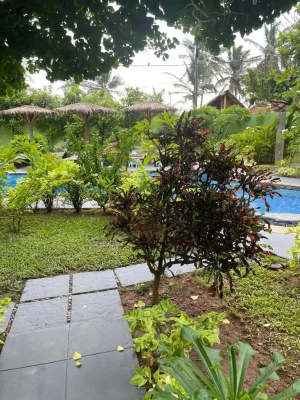 Garden in Solomon Beach Hotel