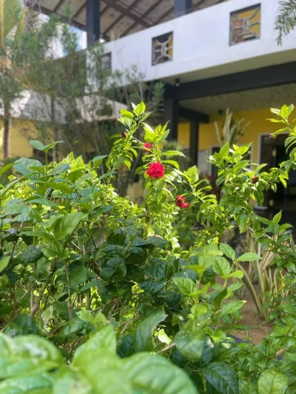 Property building in Solomon Beach Hotel