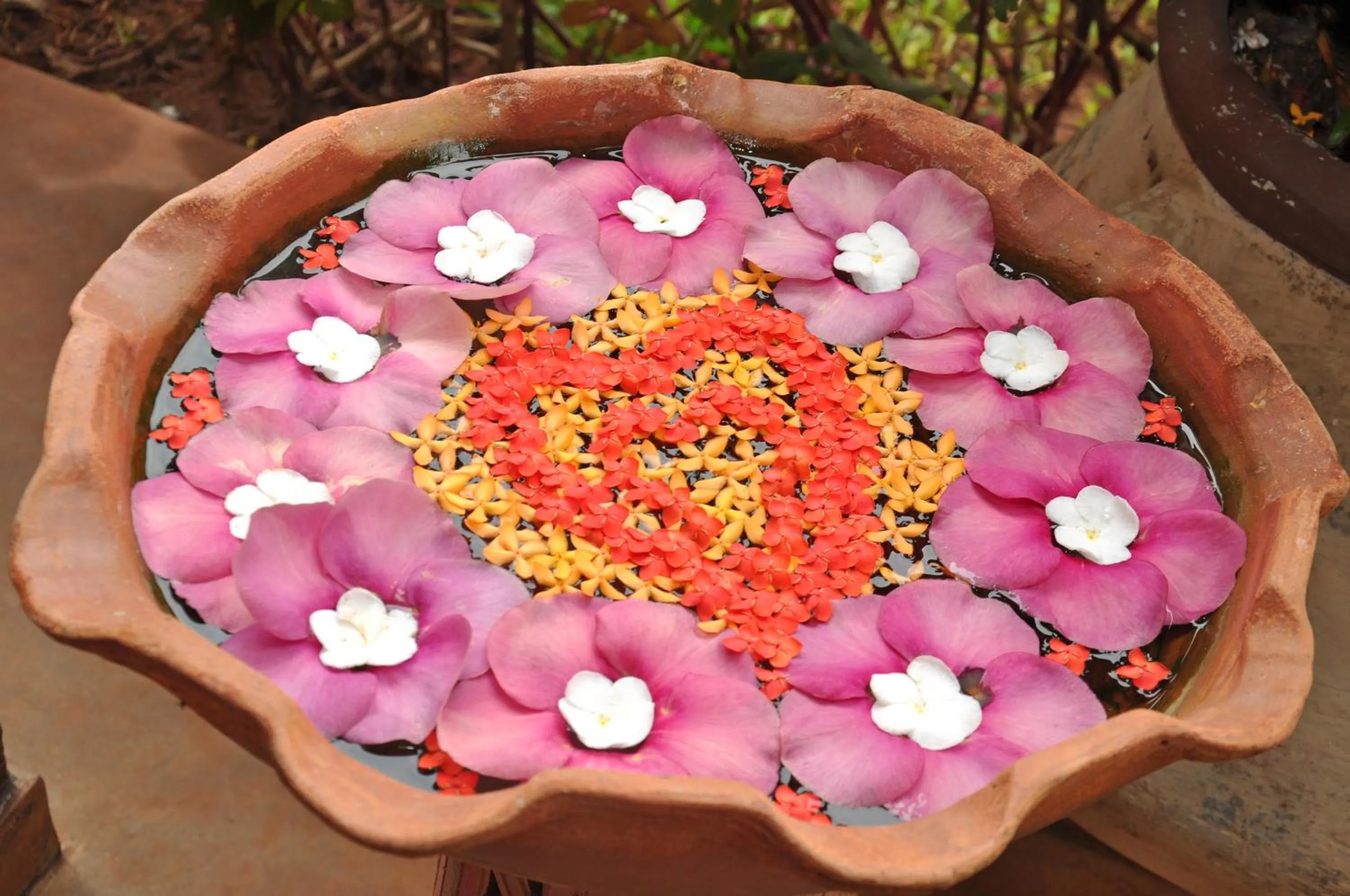 Property building in Solomon Beach Hotel