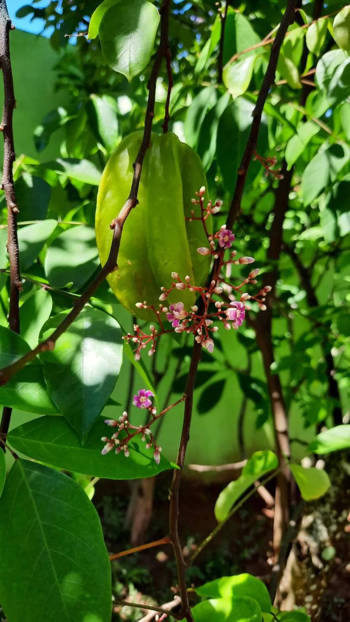 Property building in Solomon Beach Hotel