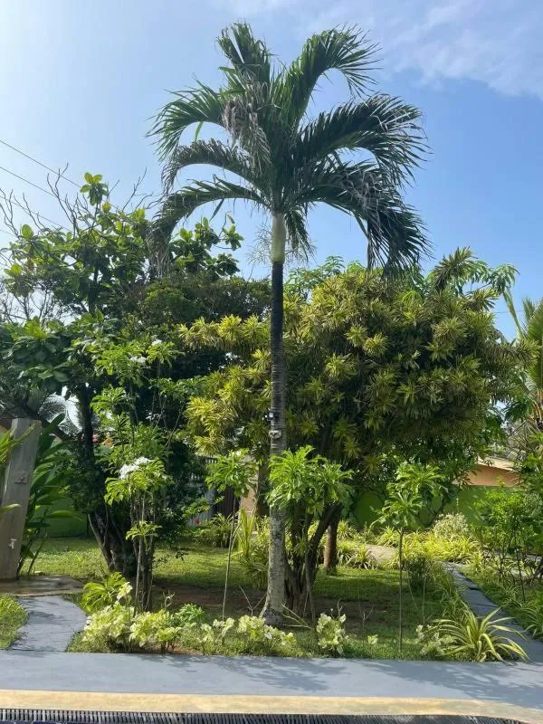 Natural landscape in Solomon Beach Hotel