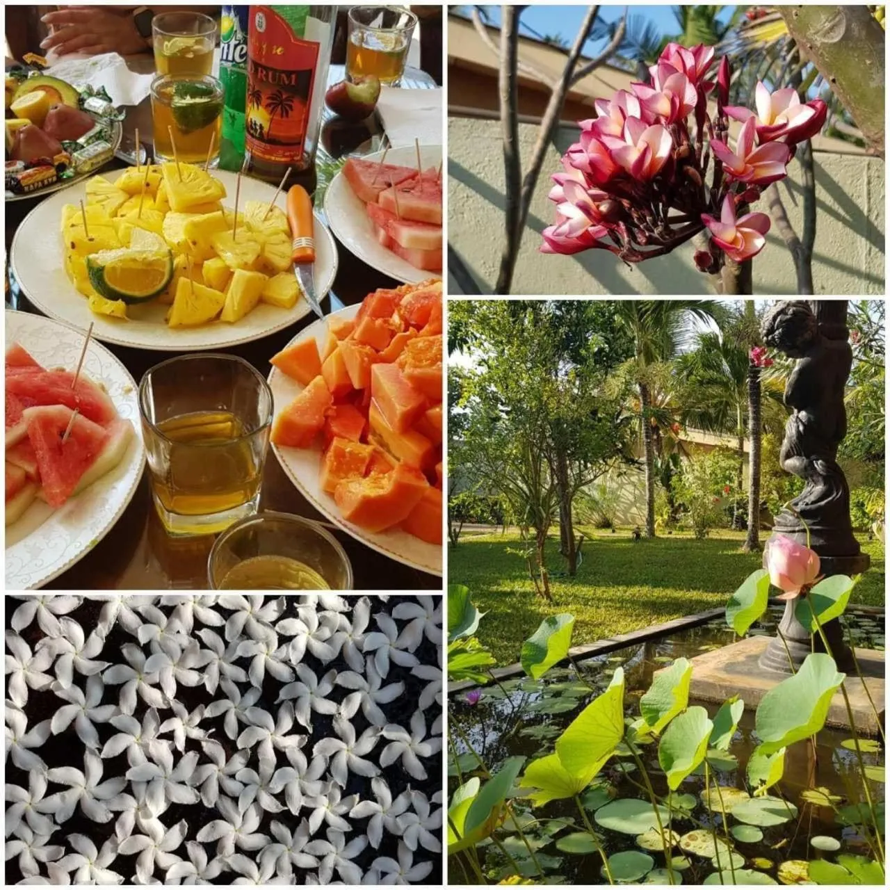 Food in Solomon Beach Hotel