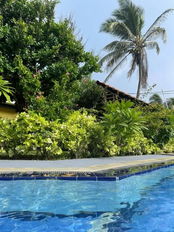 Natural landscape in Solomon Beach Hotel