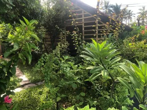 Property building in Solomon Beach Hotel