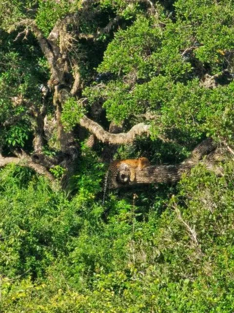 Property building in Solomon Beach Hotel