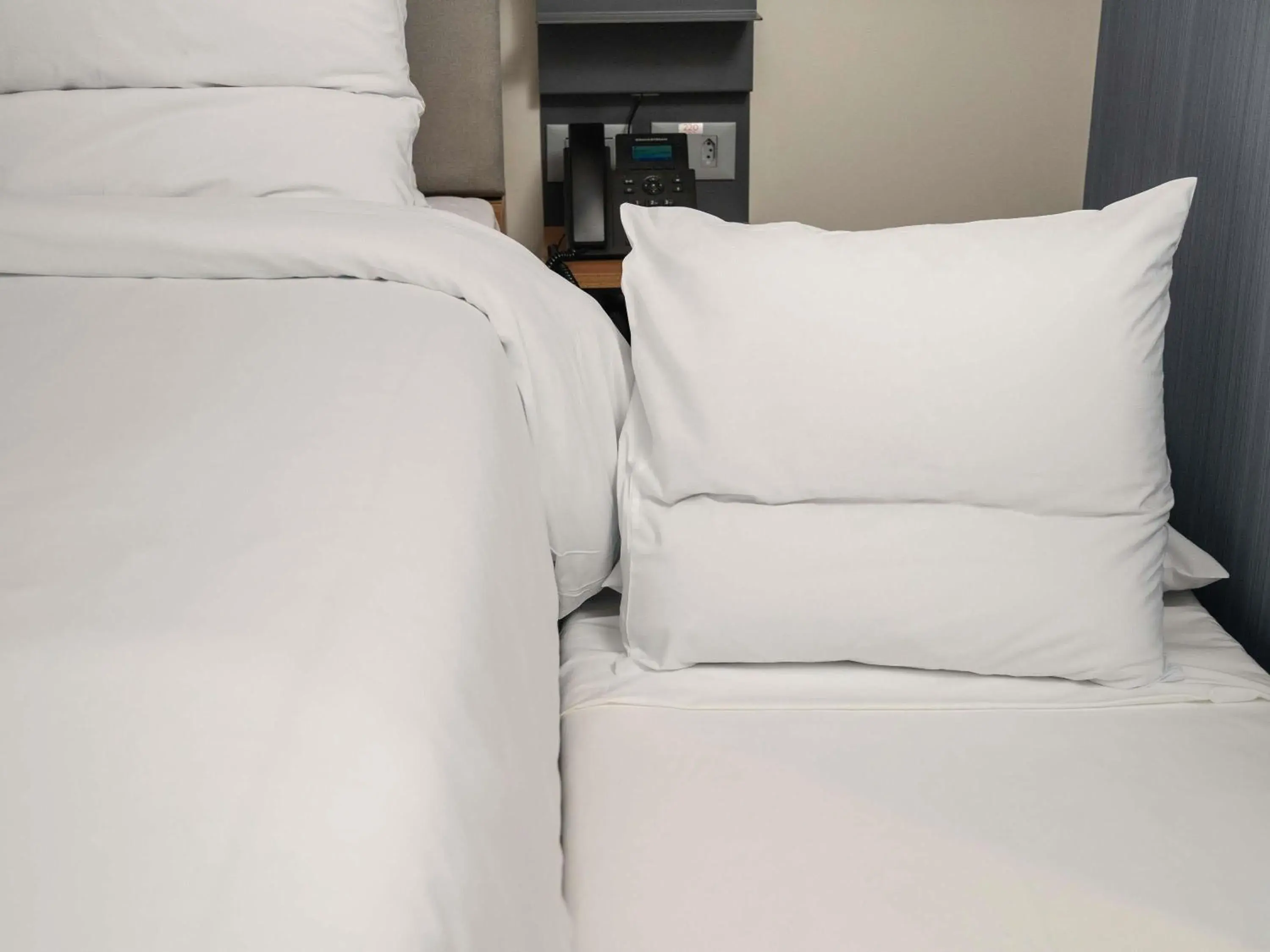 Family Apartment with One Queen Bed and One Pull Out Bed Sea View in Novotel Recife Marina Family Apartment with One Queen Bed and One Pull Out Bed Sea View in Novotel Recife Marina