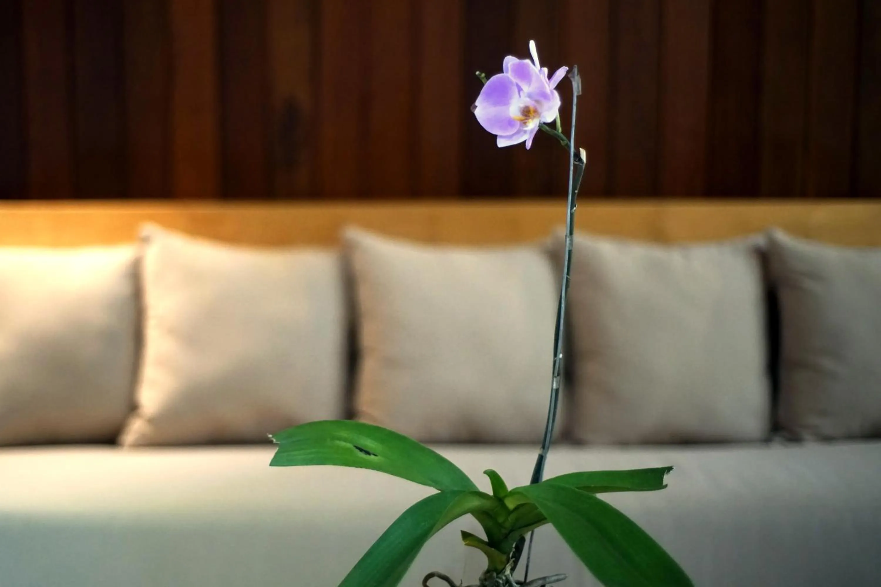 Decorative detail in Bale Mandala Villas