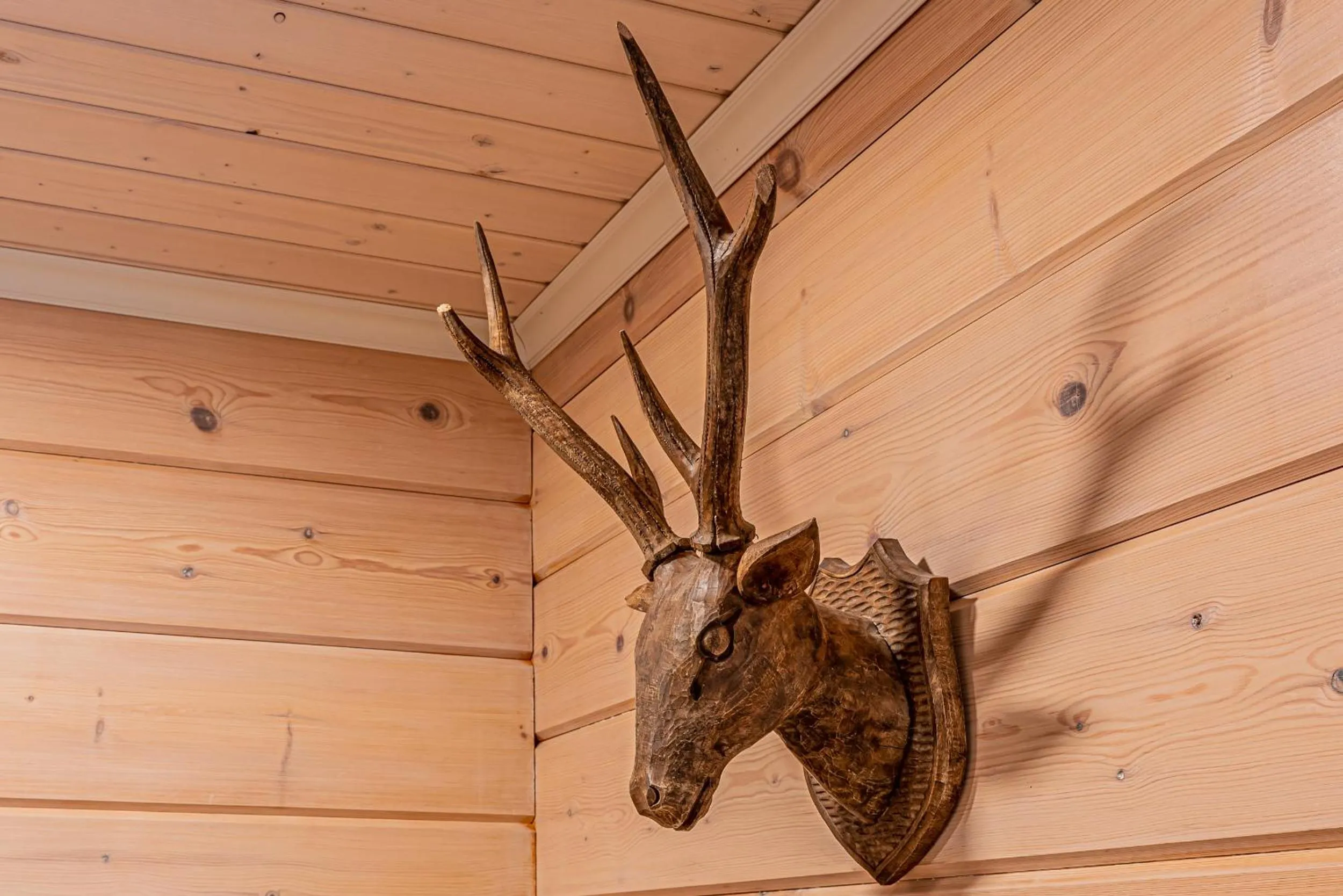 Decorative detail in Saimaa Life Apartments