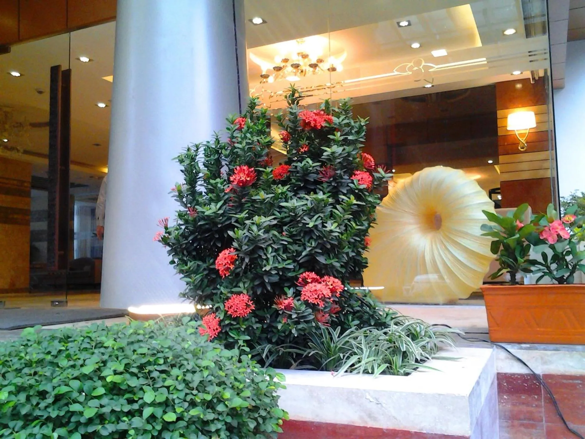 Decorative detail in Bengal Blueberry