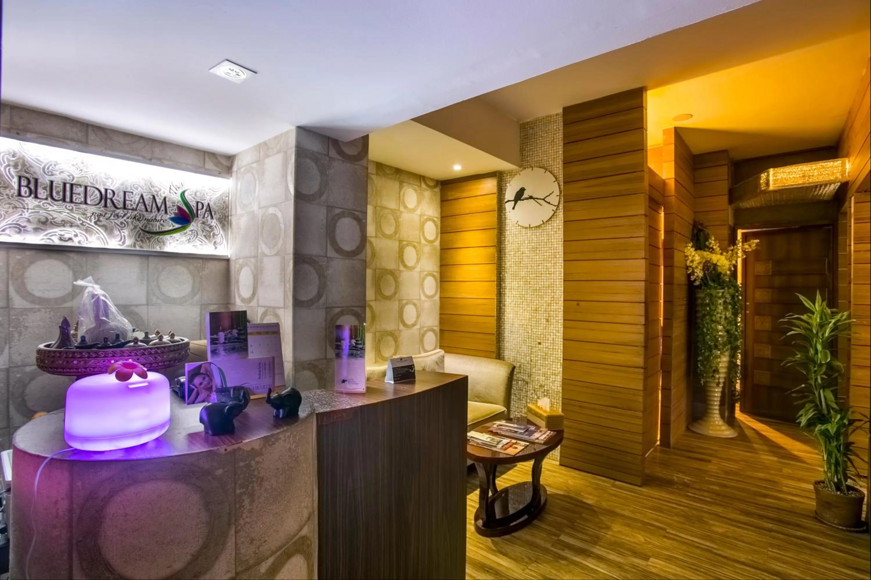 Massage in Bengal Blueberry