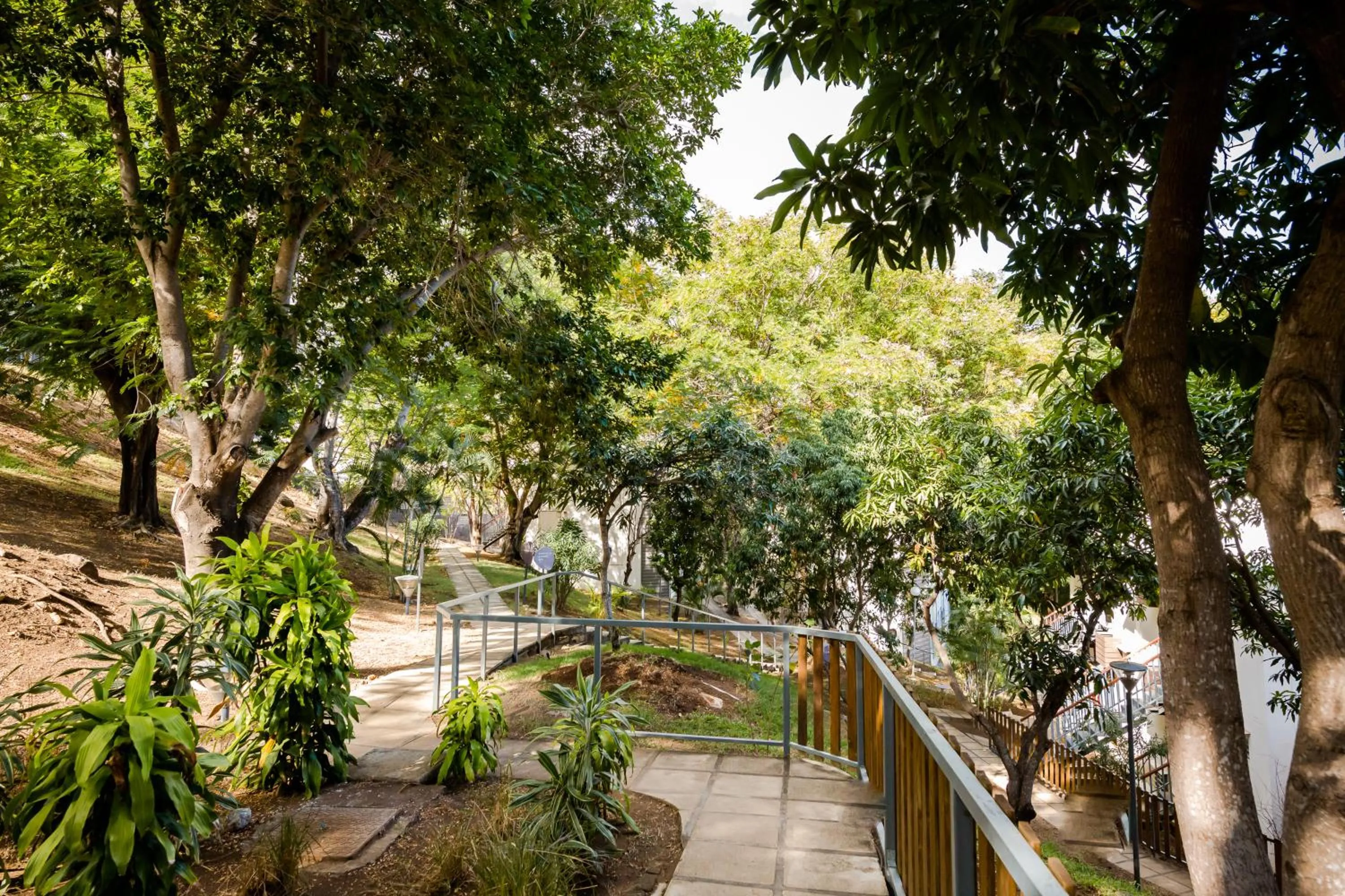 Garden in Les Aigrettes