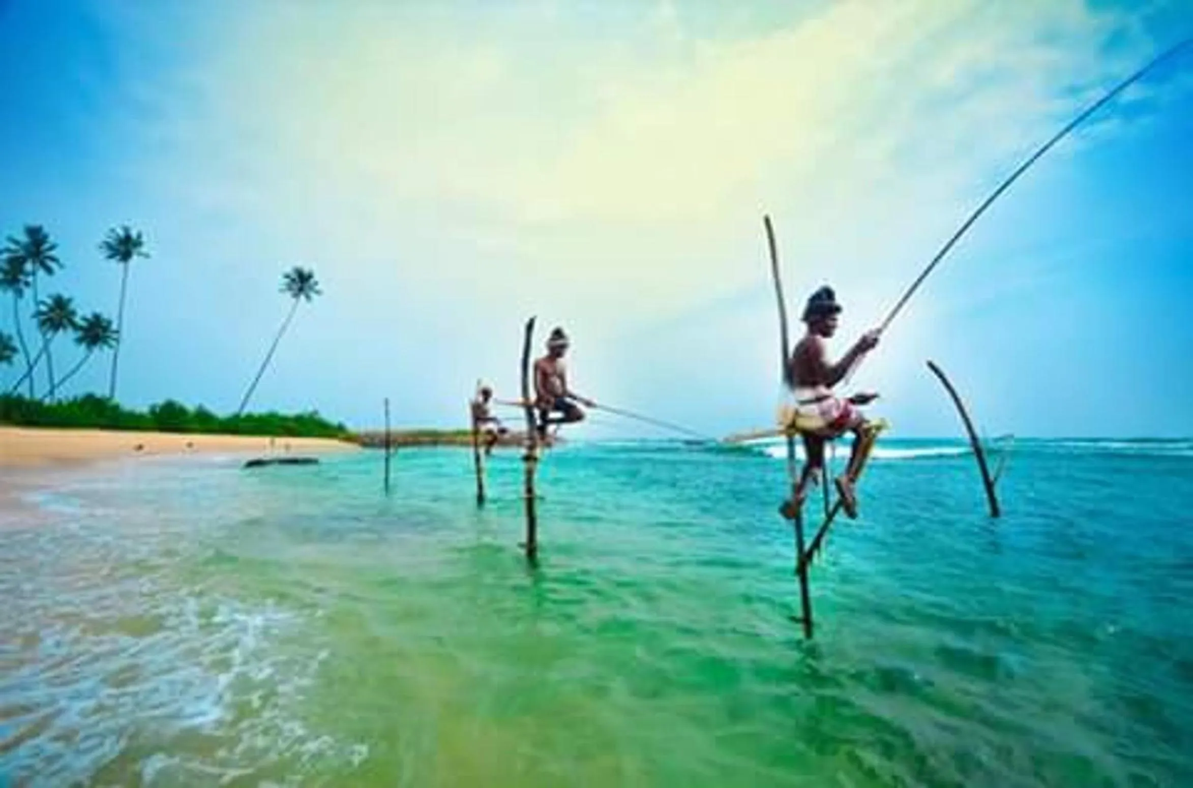 Nearby landmark in Haus am Meer "Wilde Ananas"