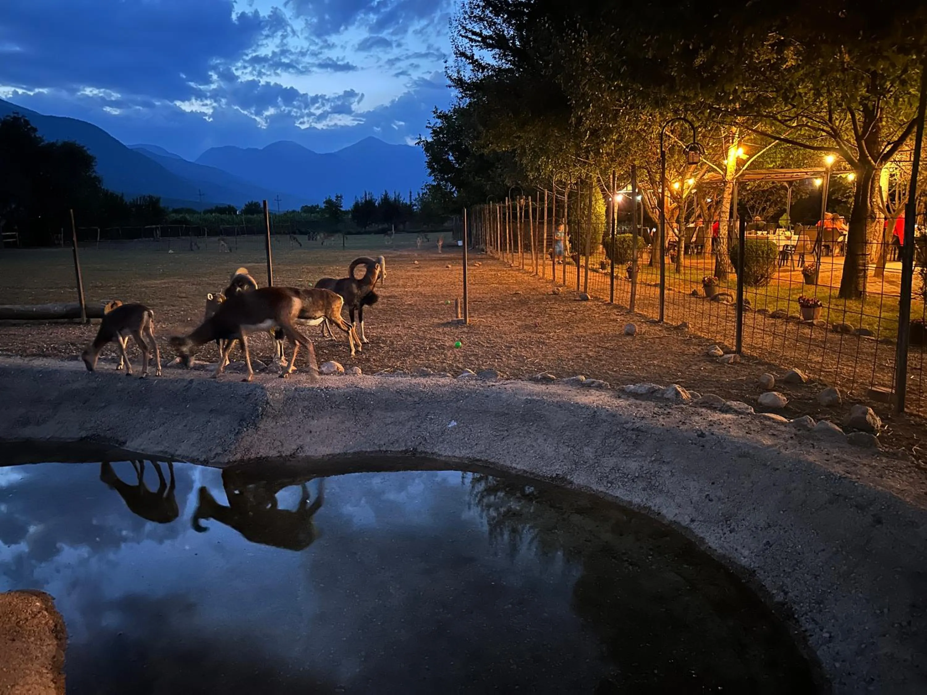 Night in Hotel Antika