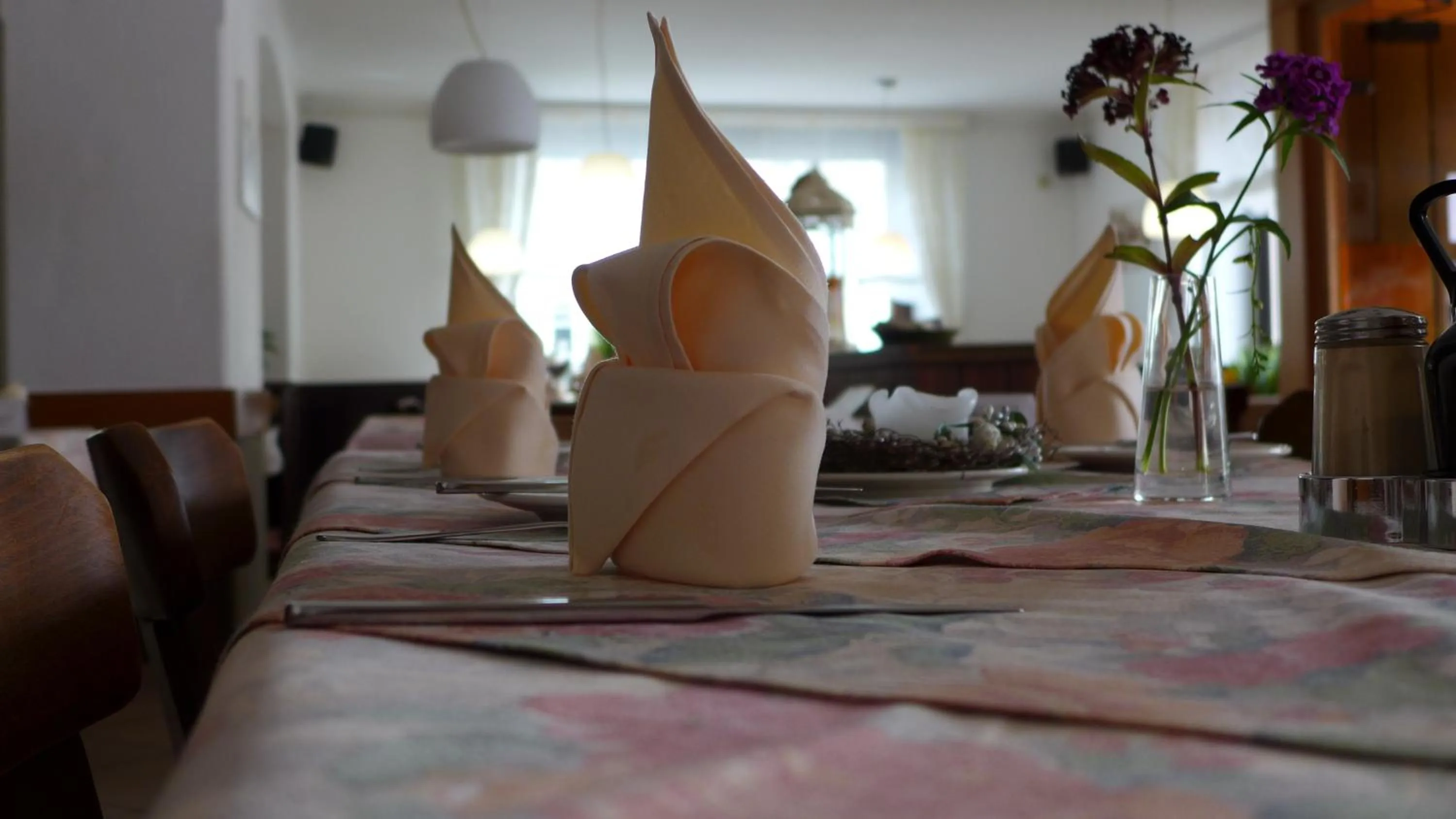 Restaurant/places to eat in Central-Hotel Greiveldinger