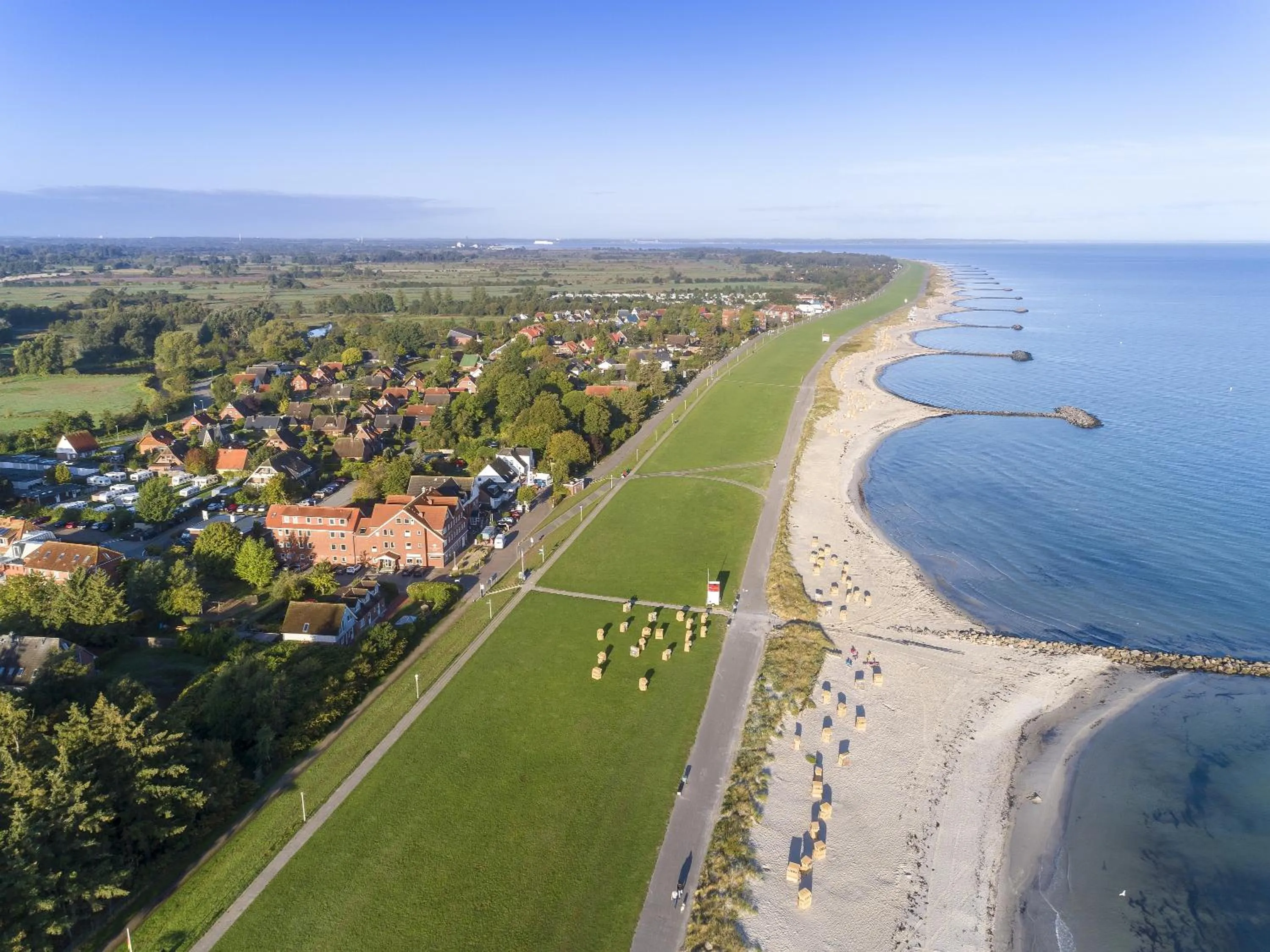 Natural landscape in Beach Hotel California