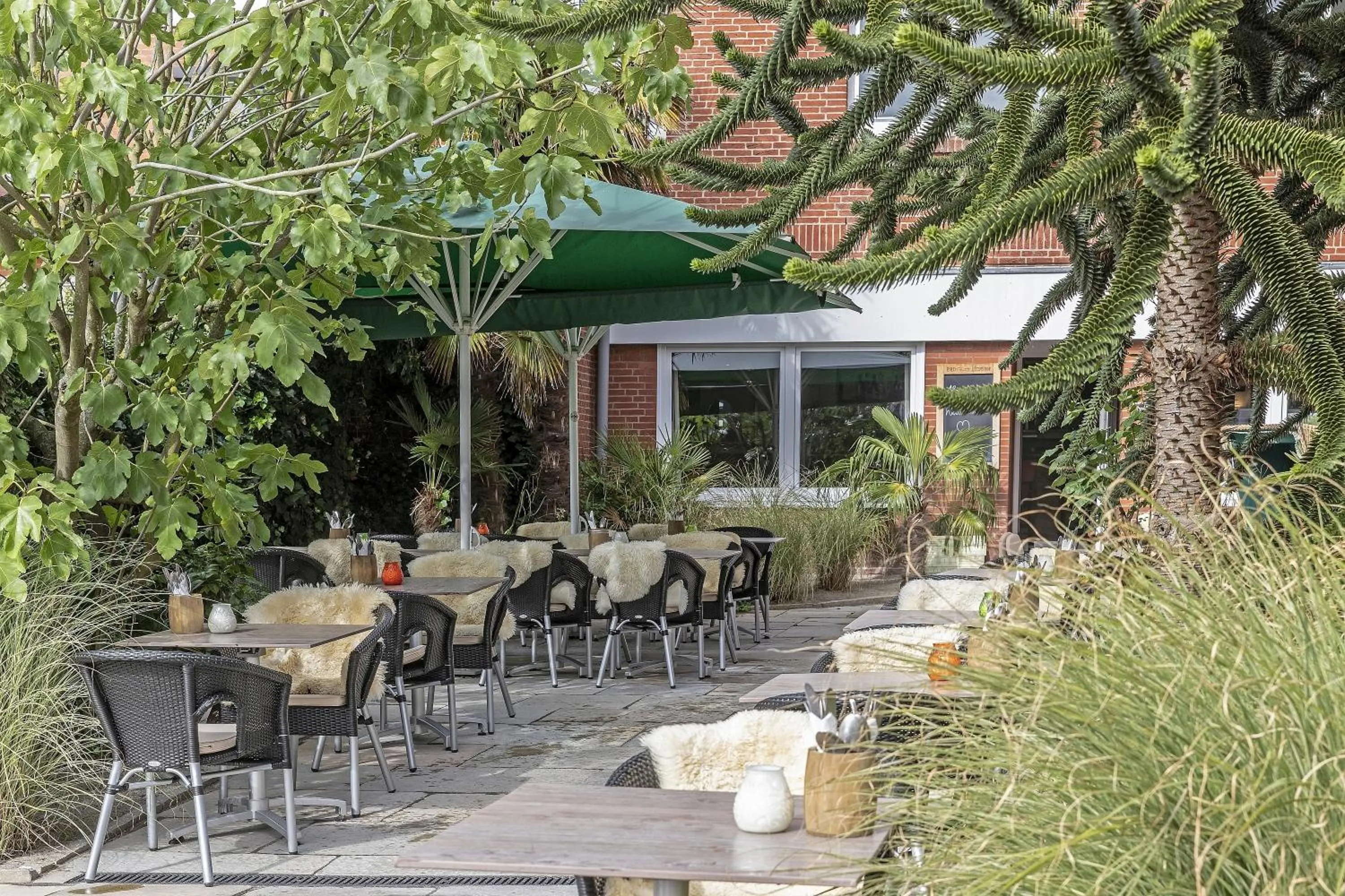 Patio in Beach Hotel California