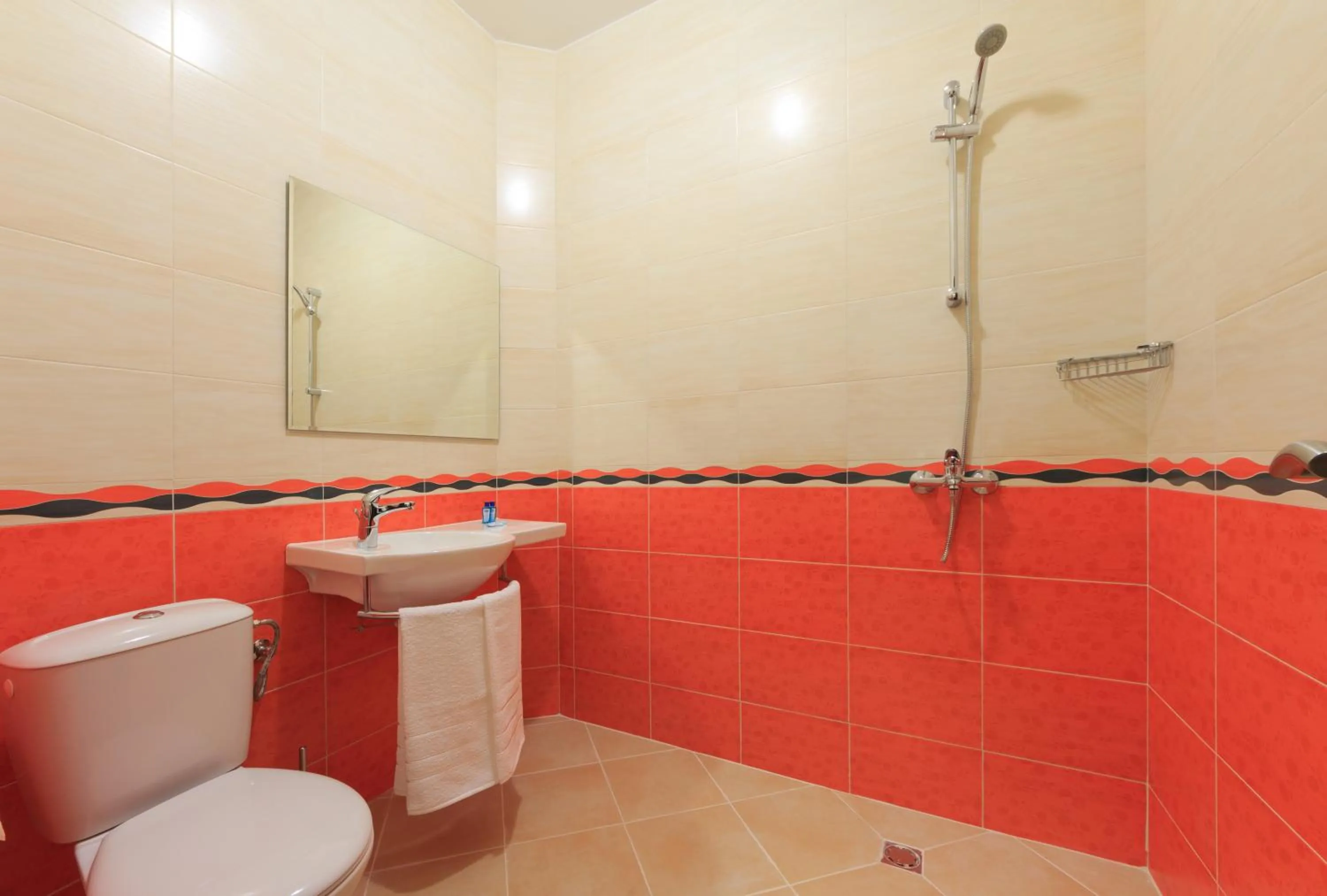 Bathroom in Sky Hotel