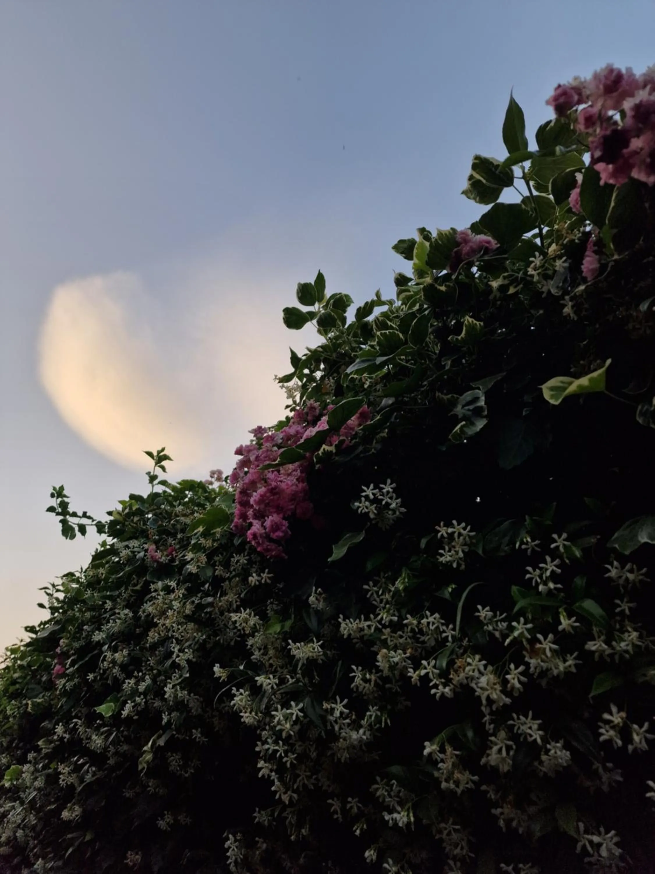 Garden in Casa Delle Coccole