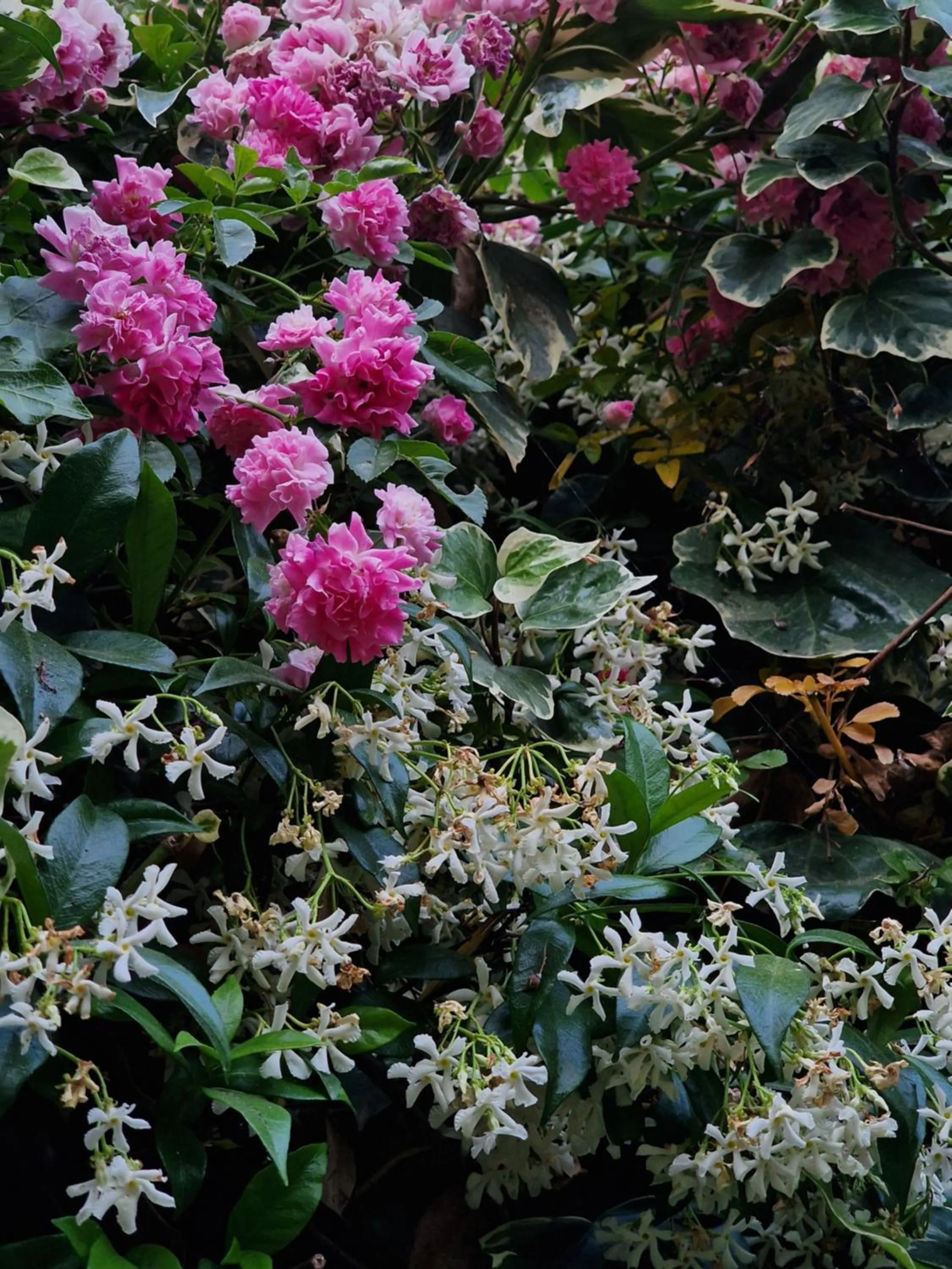 Garden in Casa Delle Coccole