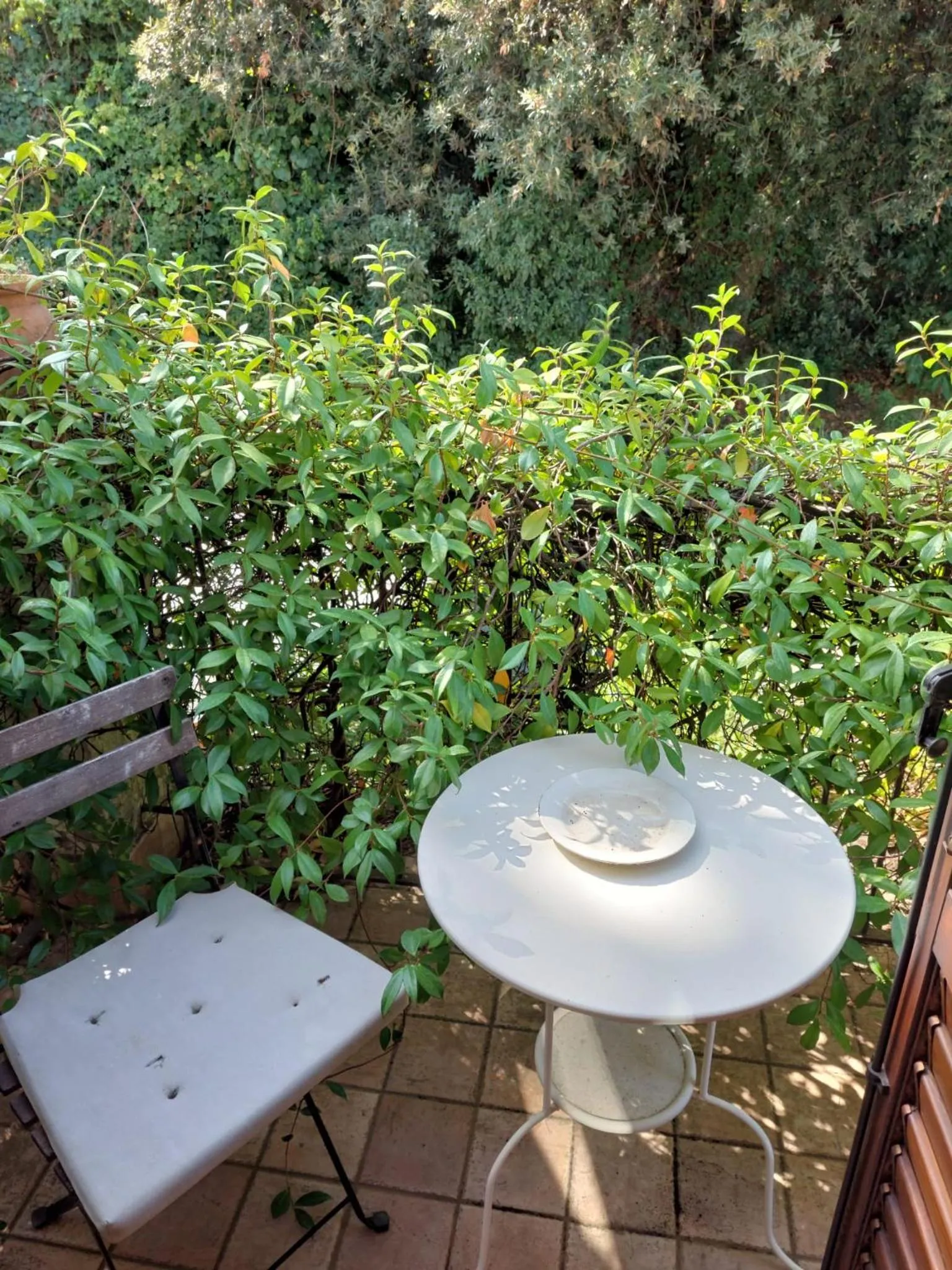 Balcony/Terrace in Casa Delle Coccole