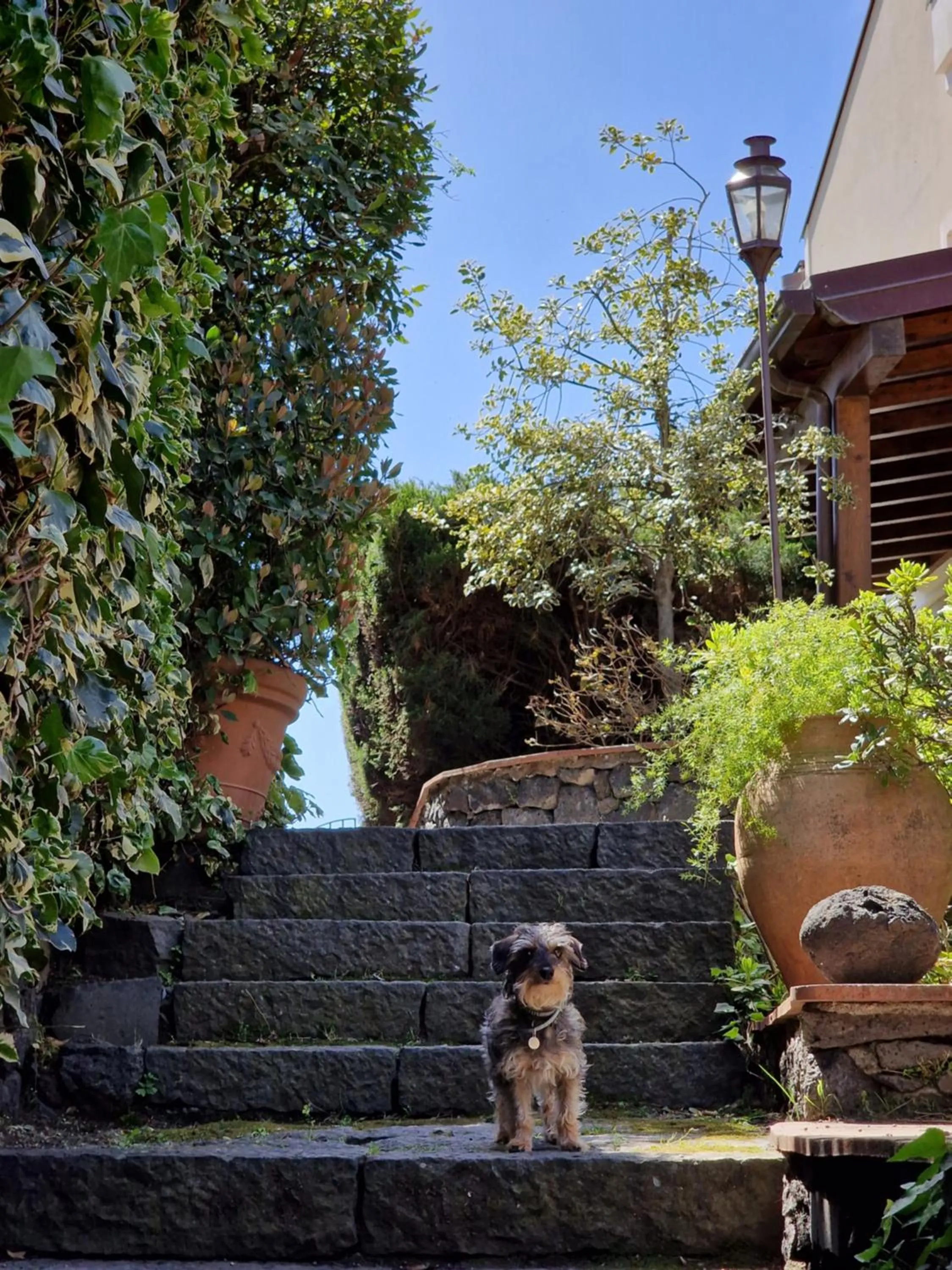 Property building in Casa Delle Coccole