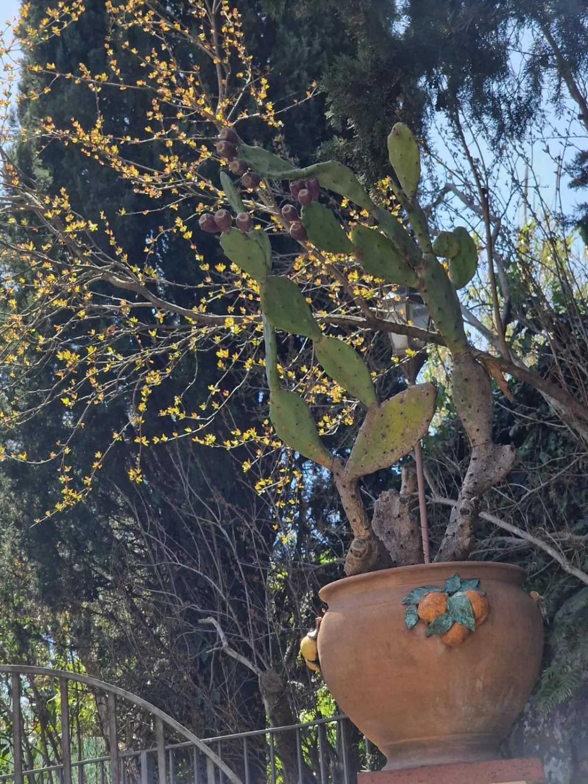 Garden in Casa Delle Coccole