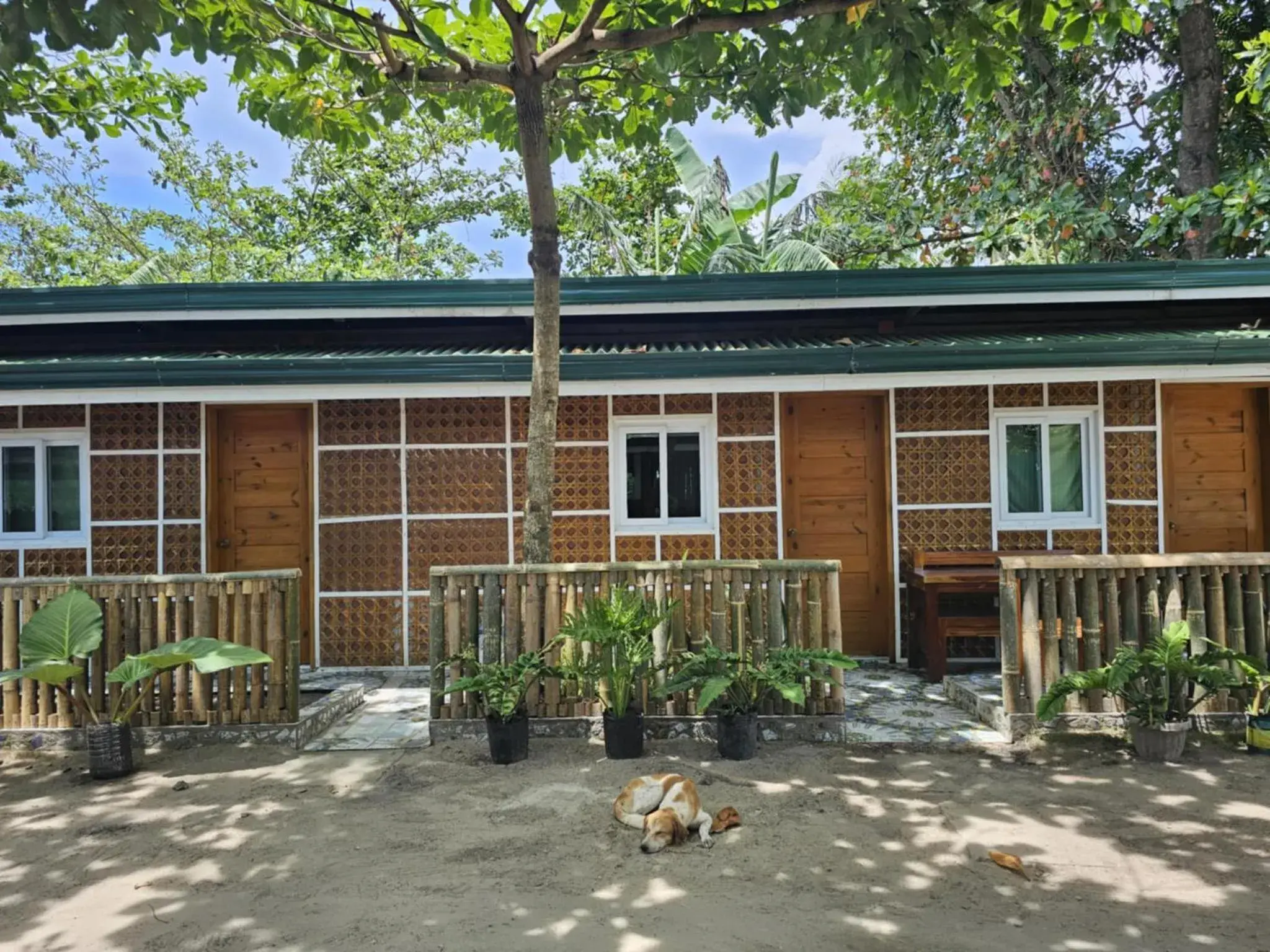 Garden view in Tambayan Rooms and Cottages by SMS Hospitality Garden view in Tambayan Rooms and Cottages by SMS Hospitality