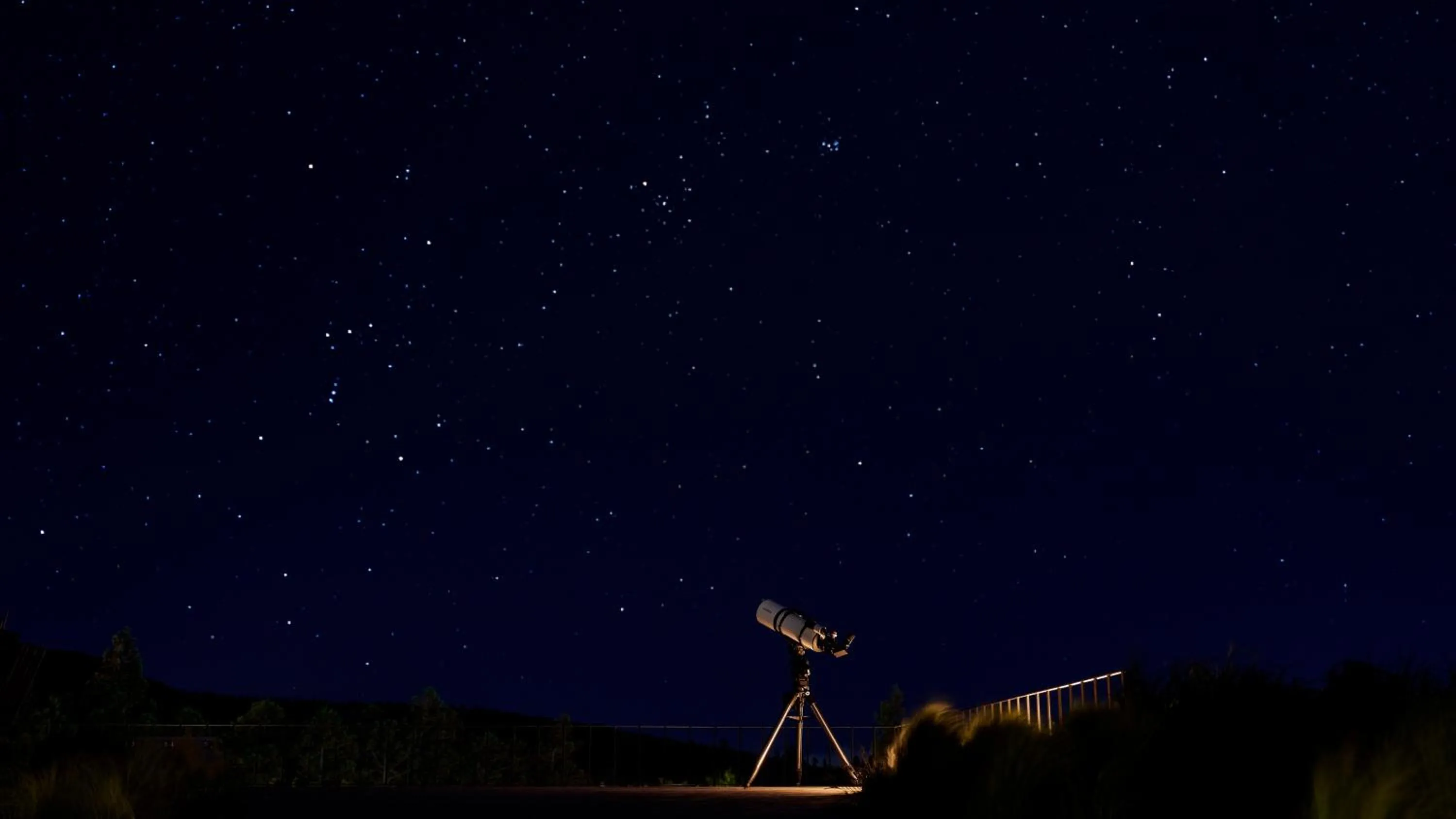 Night in Starville