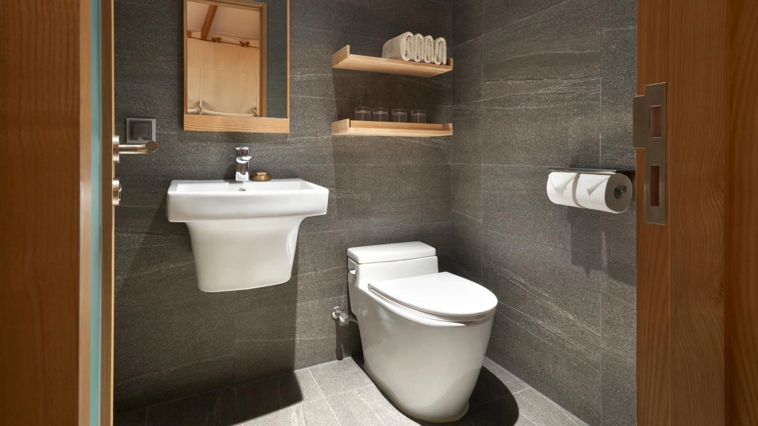 Toilet in Starville