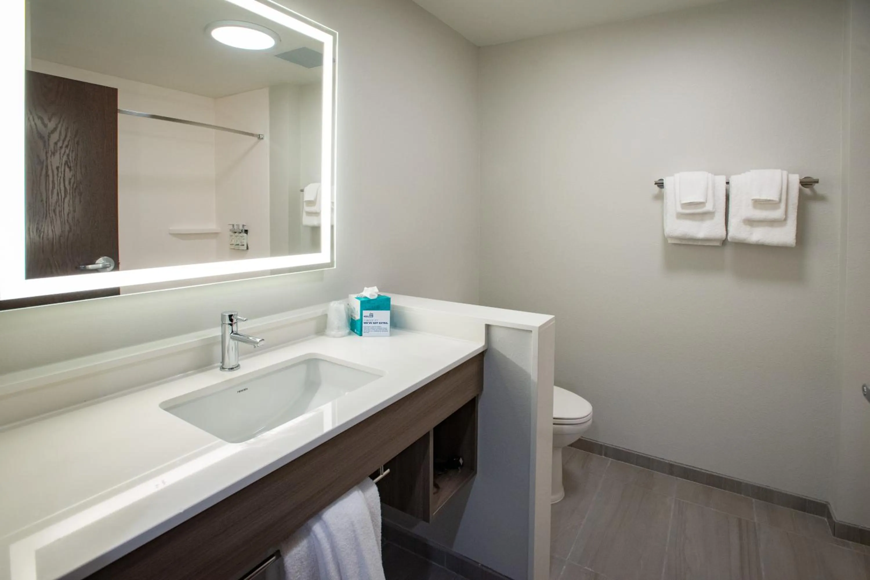 Bathroom in Holiday Inn Express & Suites Pensacola Airport North – I-10 by IHG