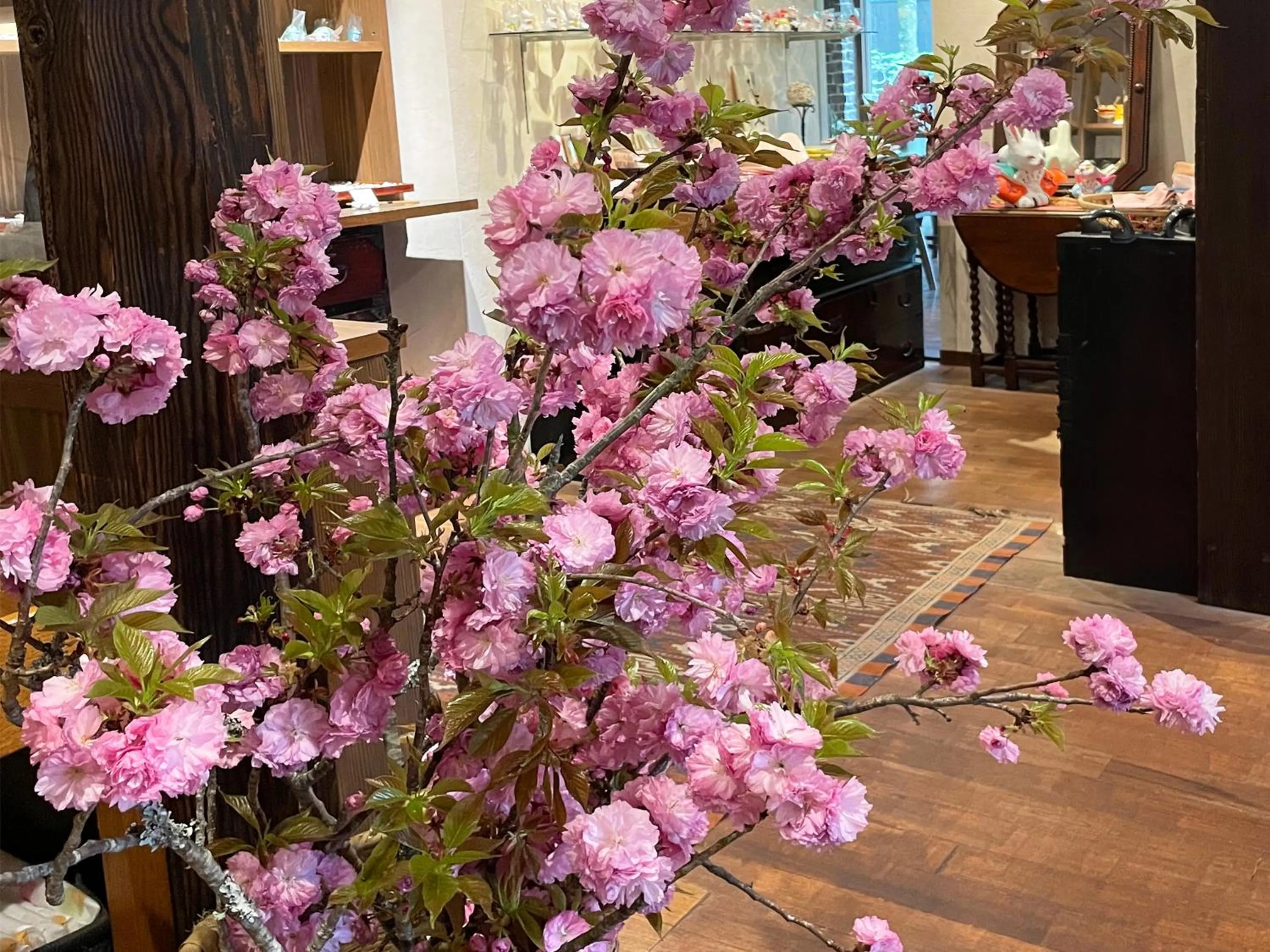 On site in Yufuin Onsen Ryokan Hananomai