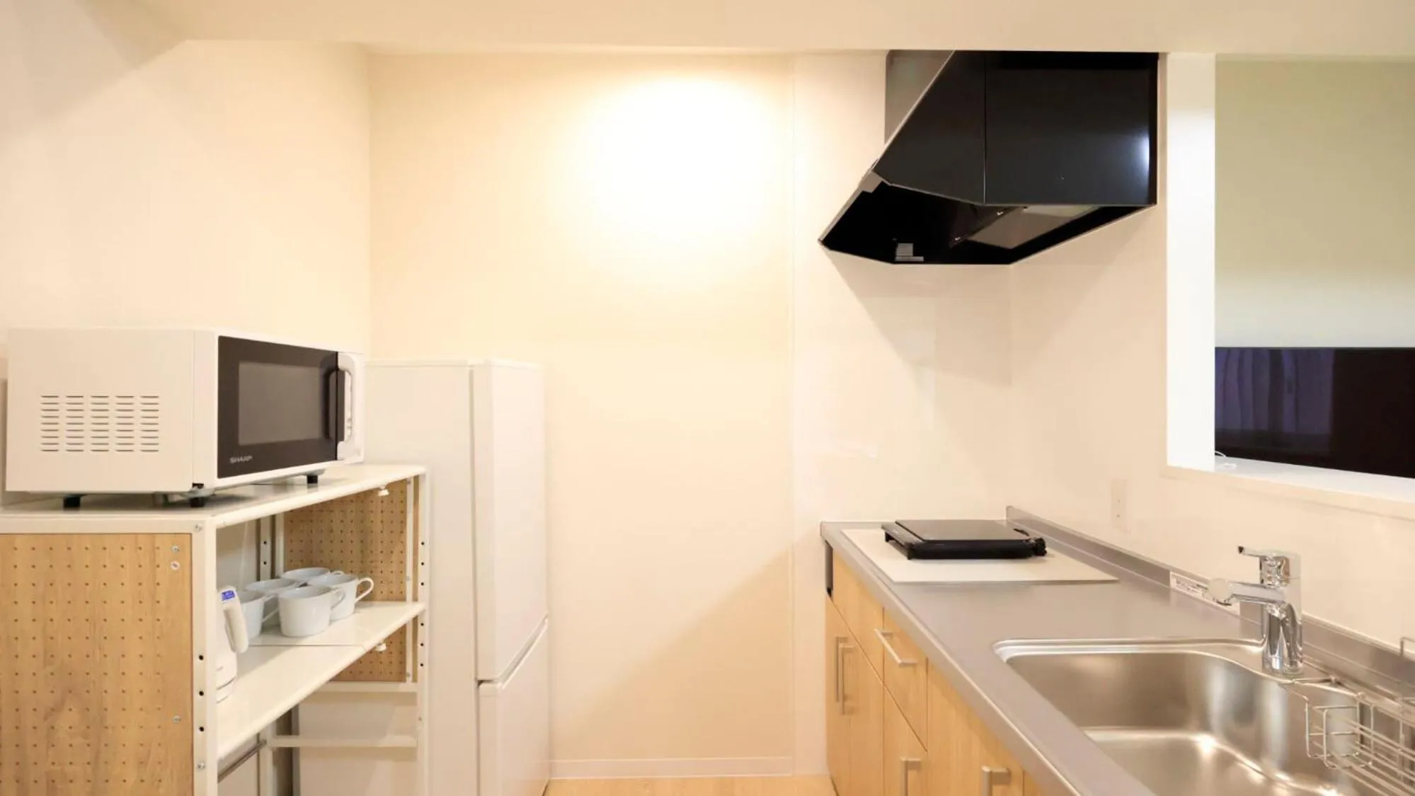 TV and multimedia in Crice Hotel Ishigakijima