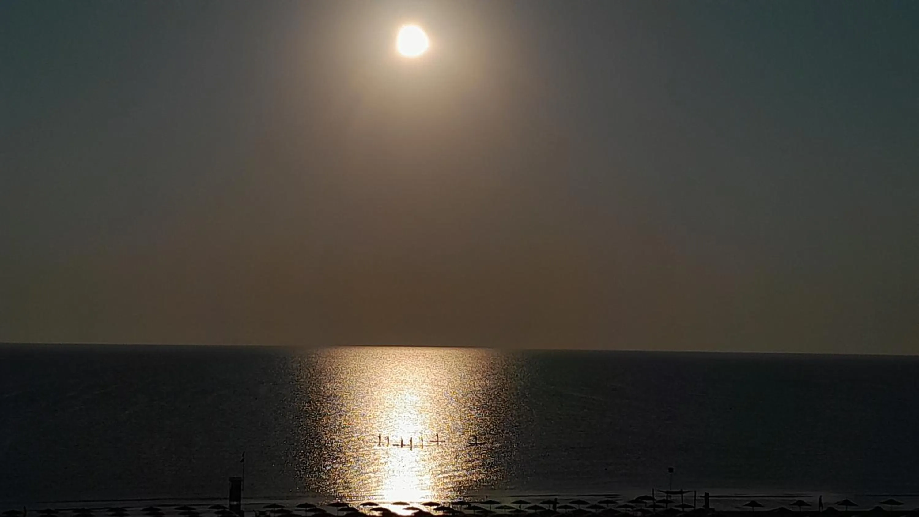 Natural landscape in Hotel Delfino