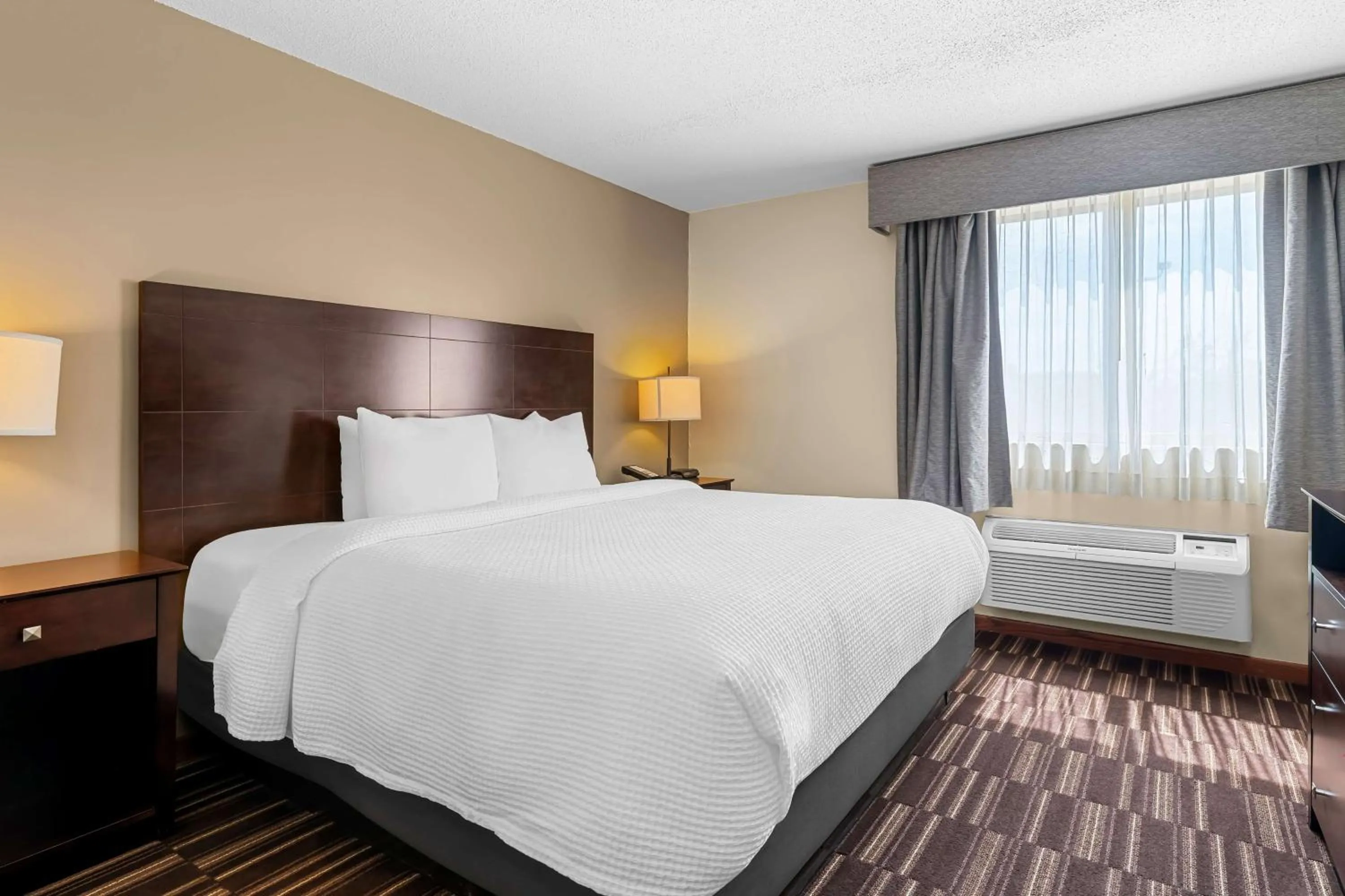 Bedroom, Bed in Best Western University Inn