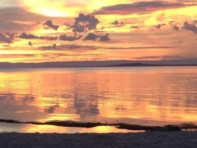 Beach in Liwayway sa Bohol Pamilacan Resort