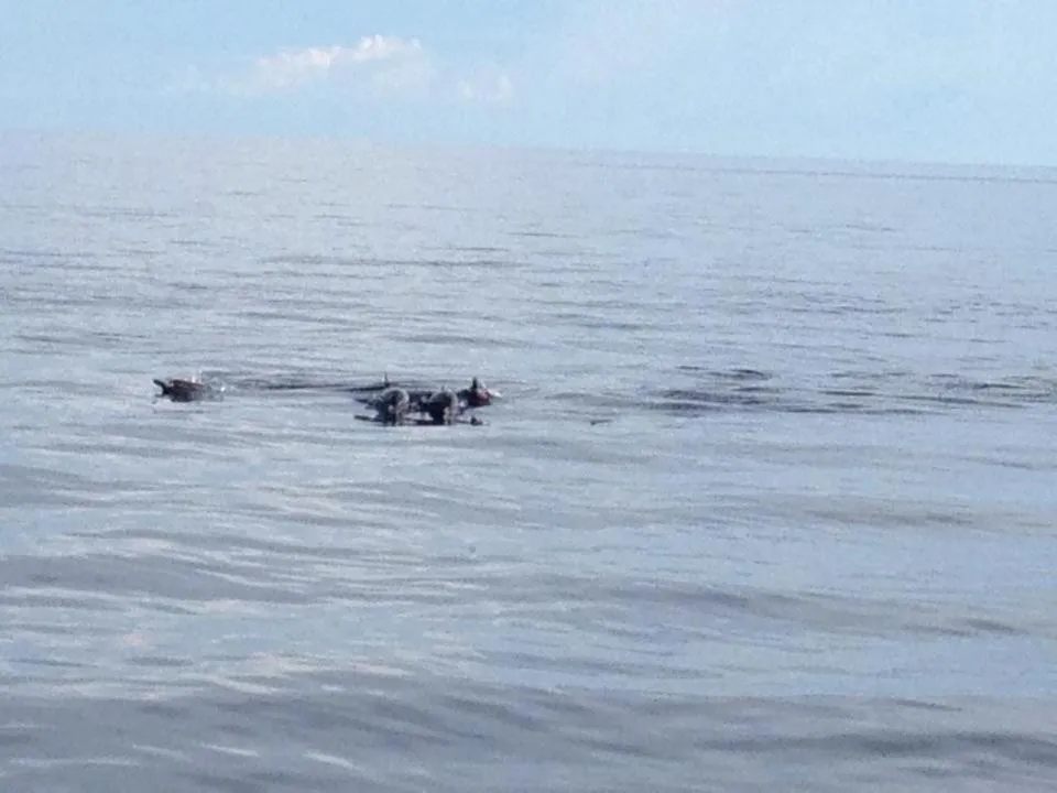 View (from property/room) in Liwayway sa Bohol Pamilacan Resort