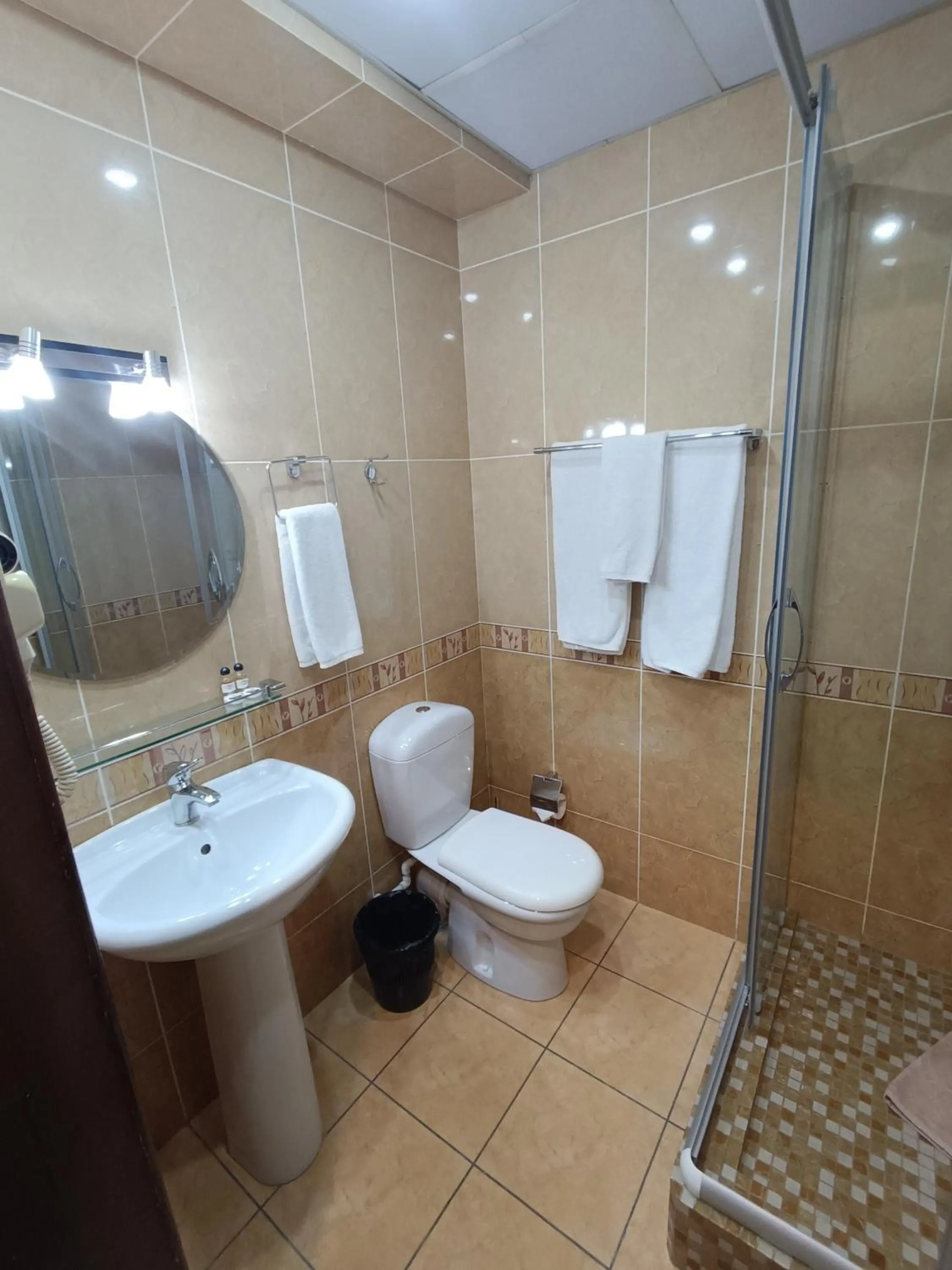 Shower in SAMIR HOTEL