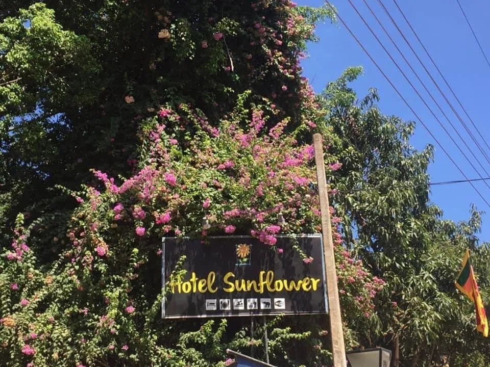 Hotel Sunflower