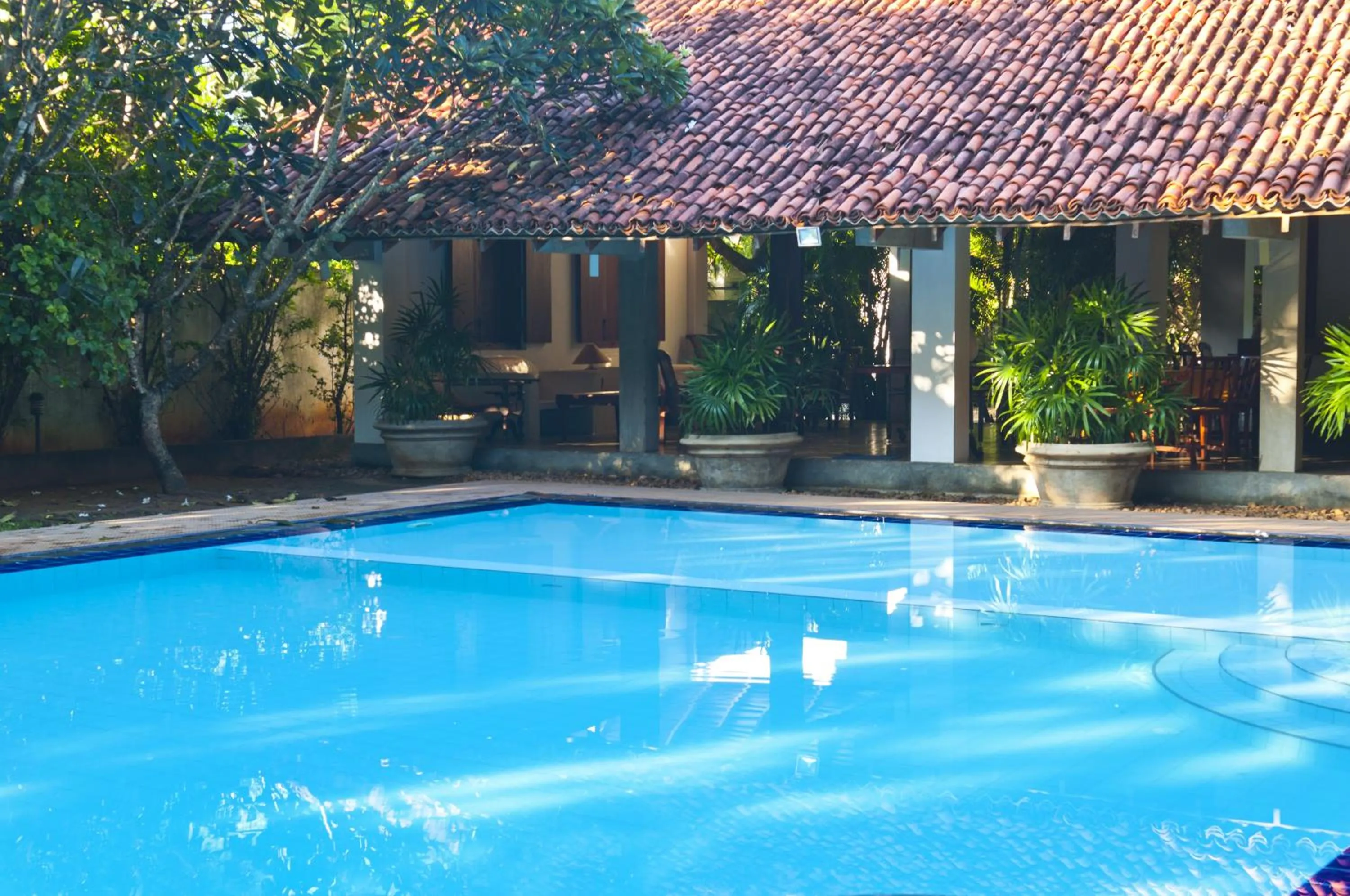 Swimming pool in Hotel Sunflower