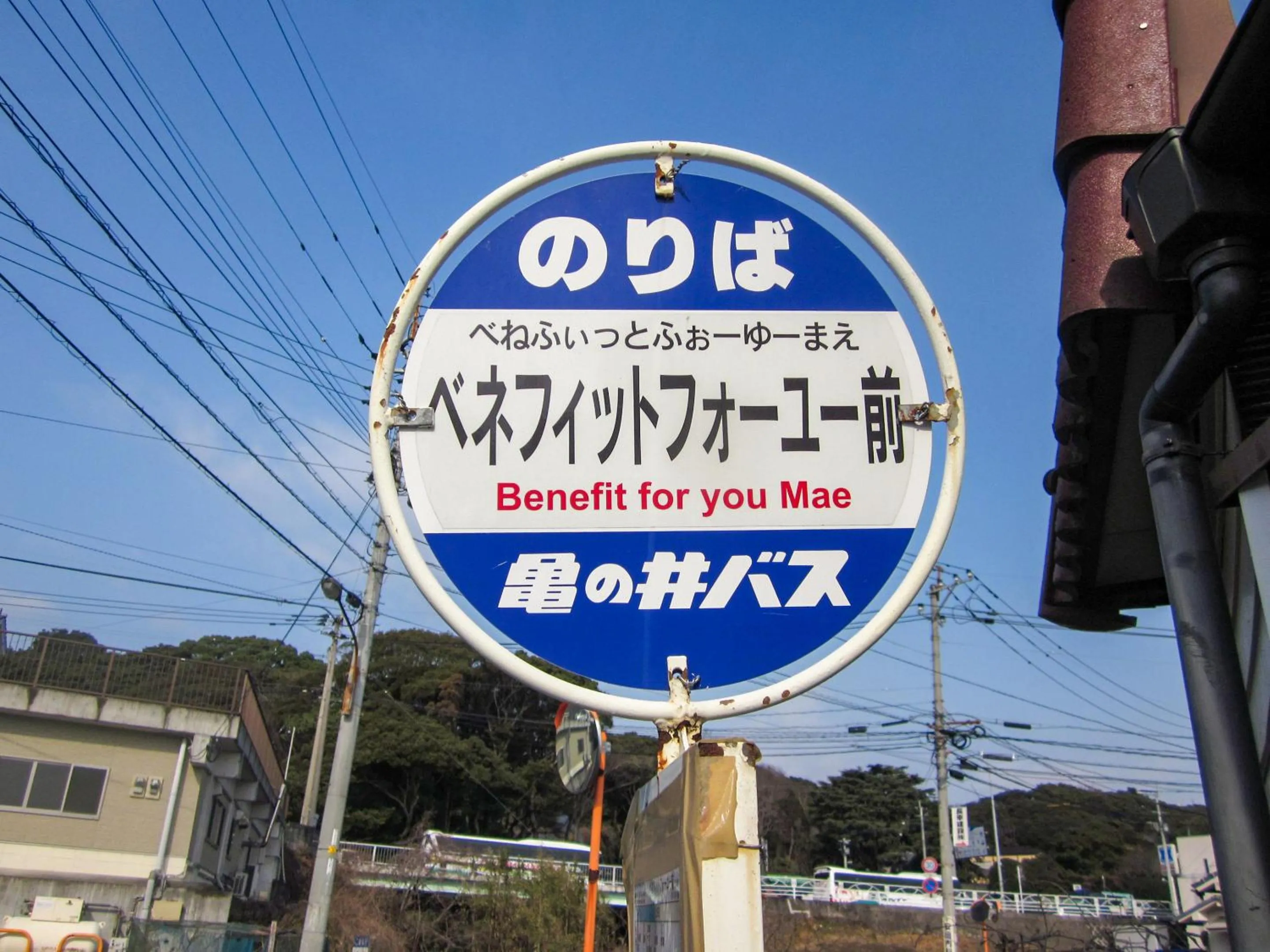 Off site in Hozanso Beppu