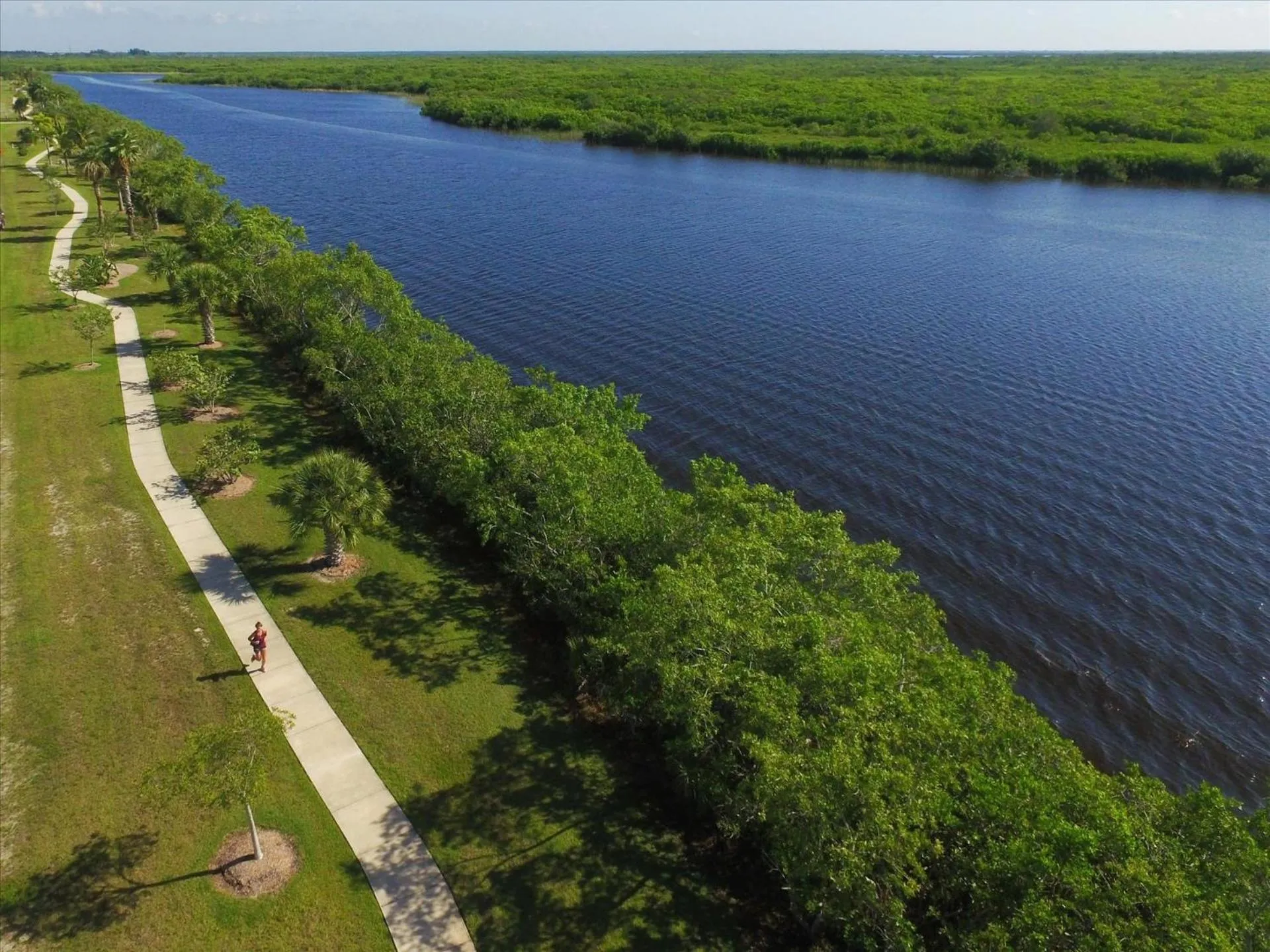 Bird's eye view in 10333 Monticello Dr