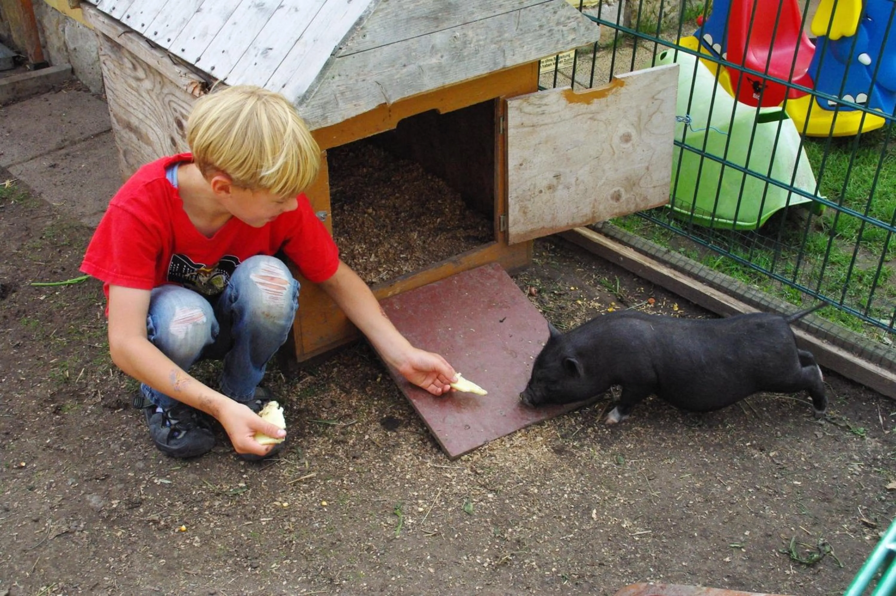 Animals in Landhotel Heidekrug