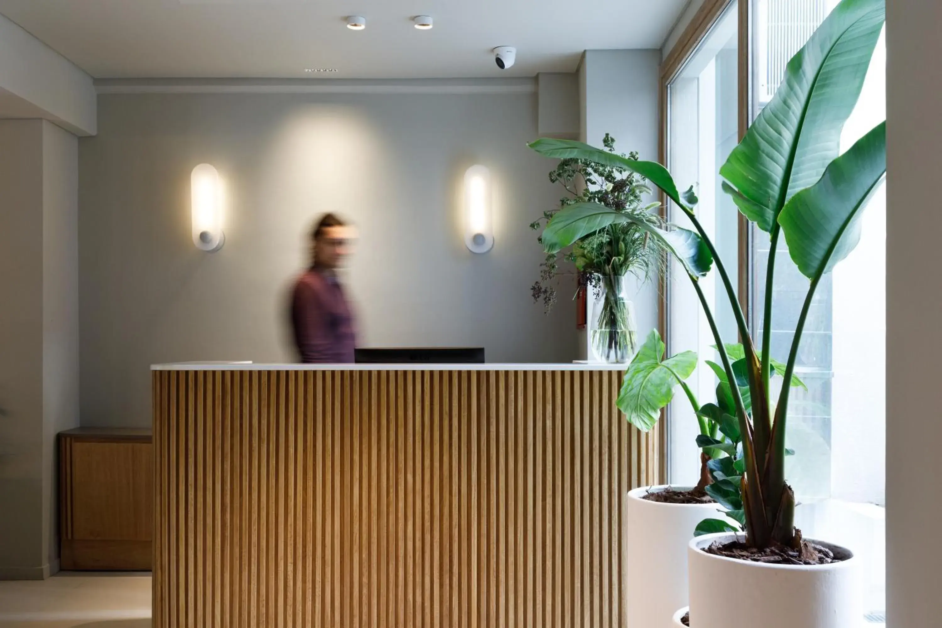 Lobby or reception in Bromelia Hotel Boutique Lobby or reception in Bromelia Hotel Boutique