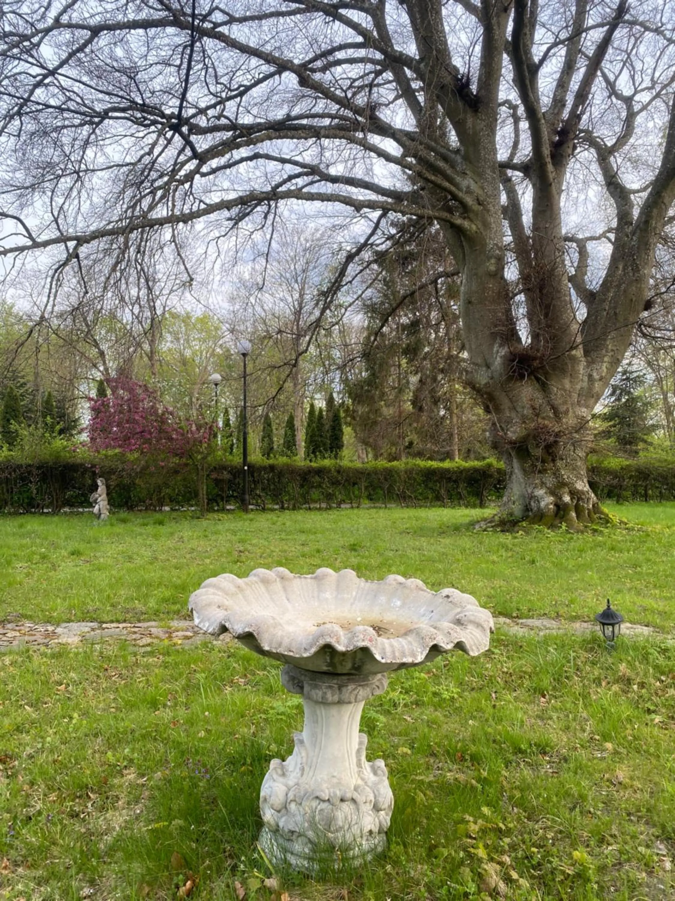 Spring in Zamek Nowęcin