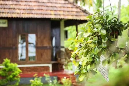 Lovedale Lakeside Homestay